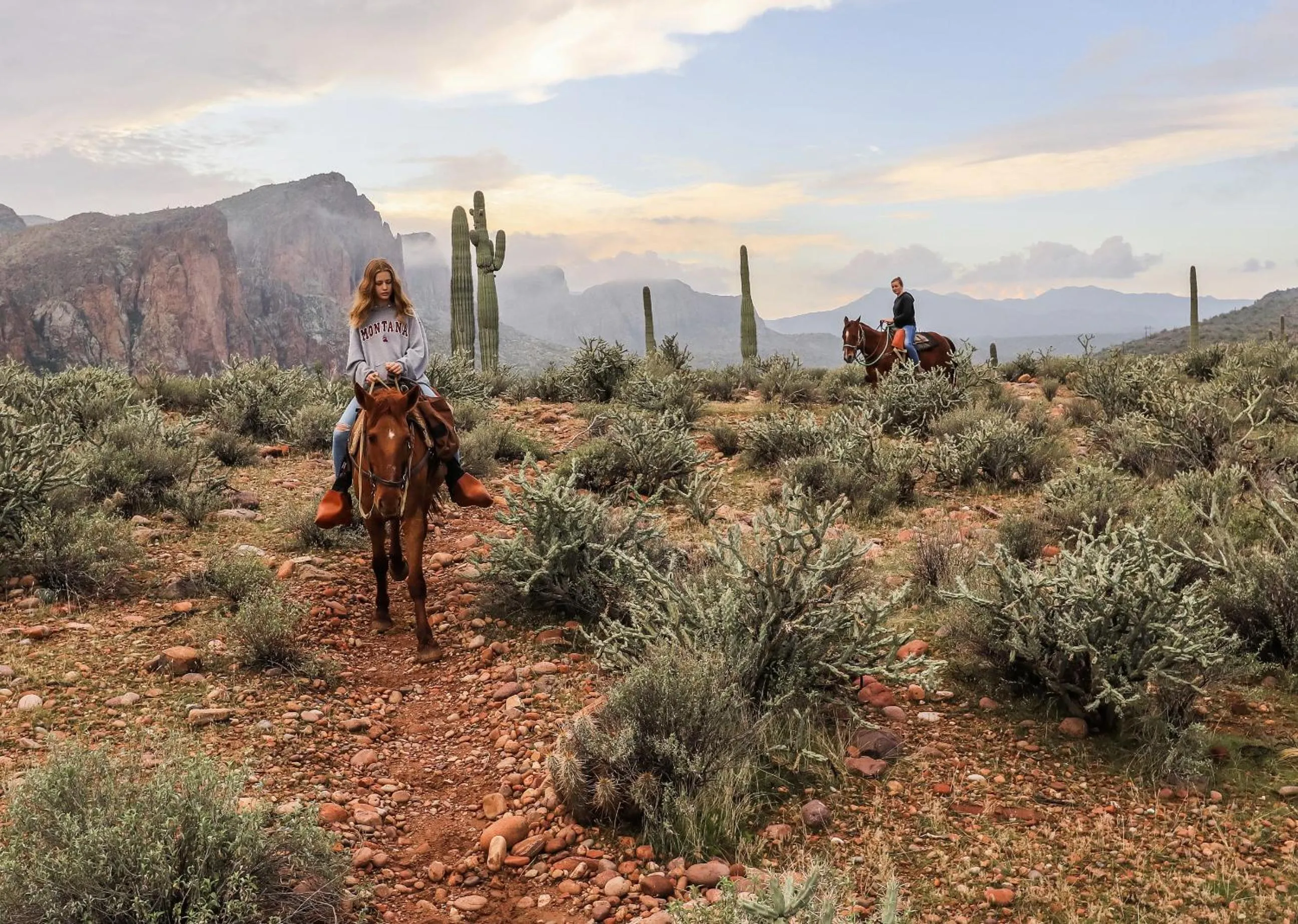 Horse-riding in Saguaro Lake Ranch