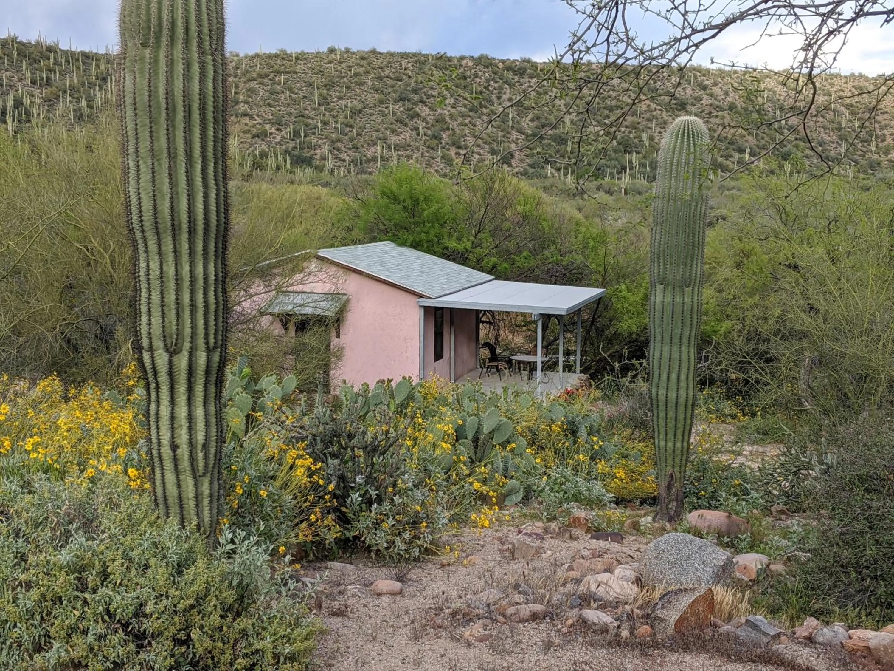 Mountain view in Saguaro Lake Ranch