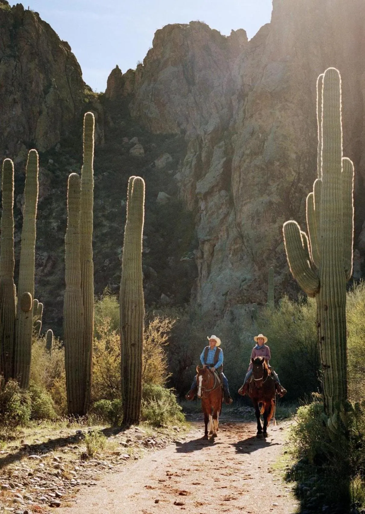 Horse-riding in Saguaro Lake Ranch
