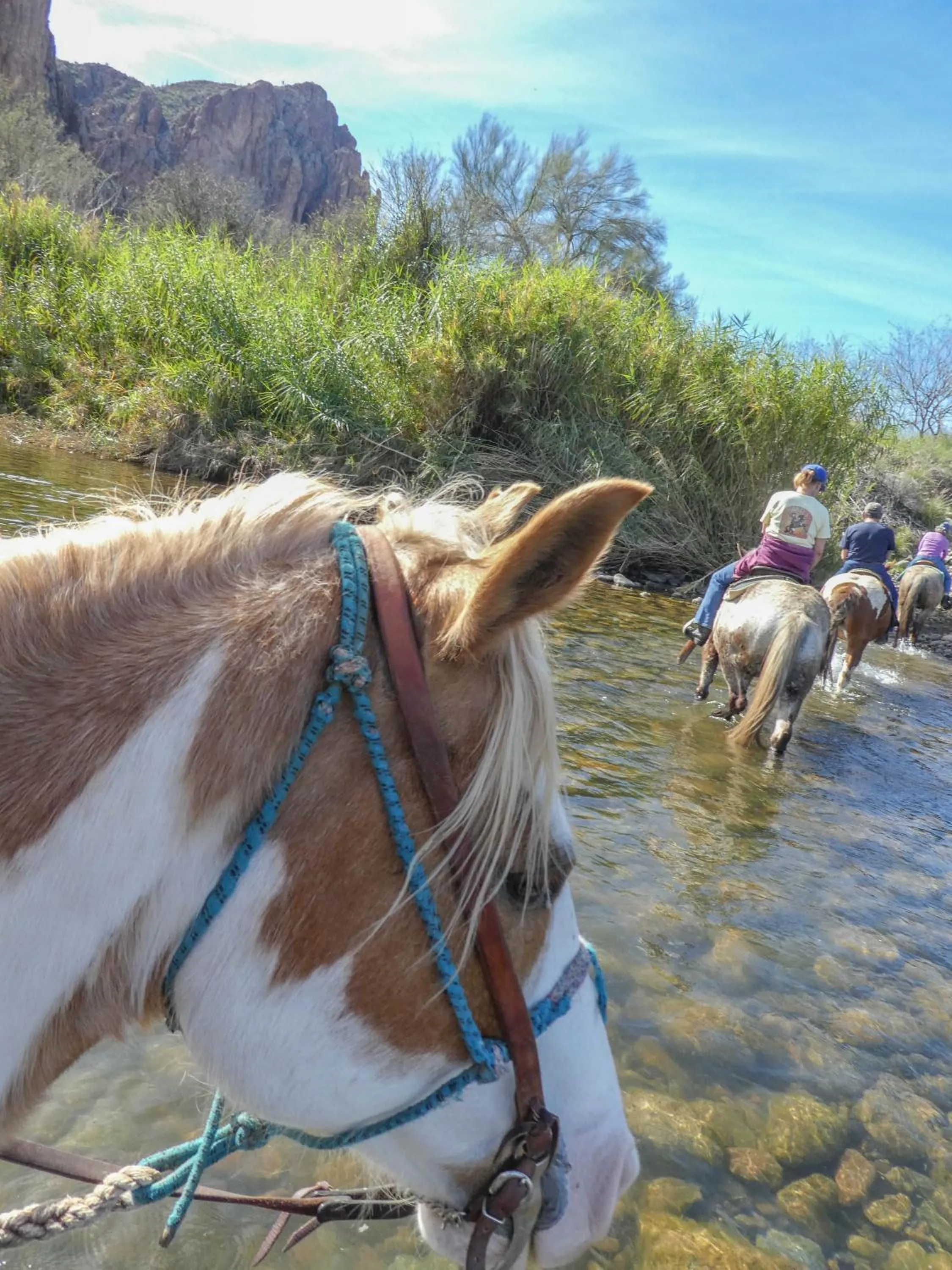 Horse-riding in Saguaro Lake Ranch