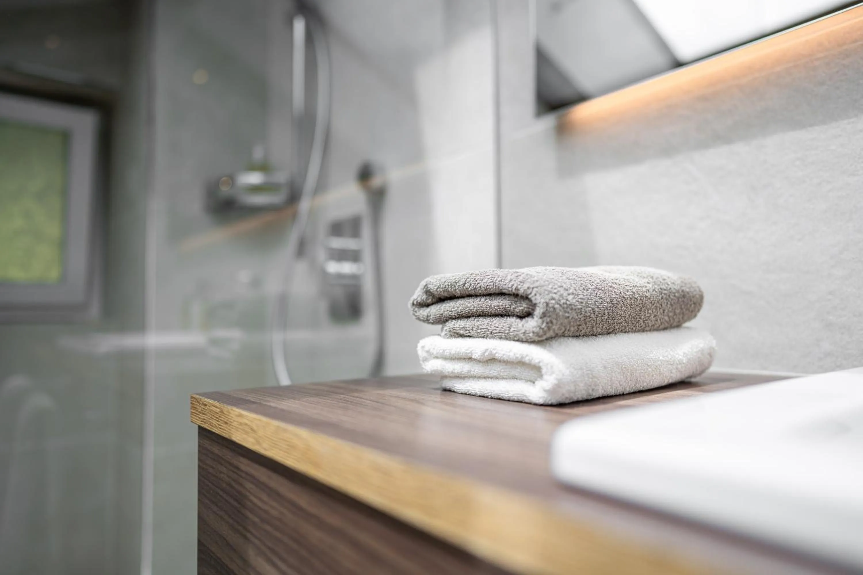 Bathroom in Arya Alpine Lodge