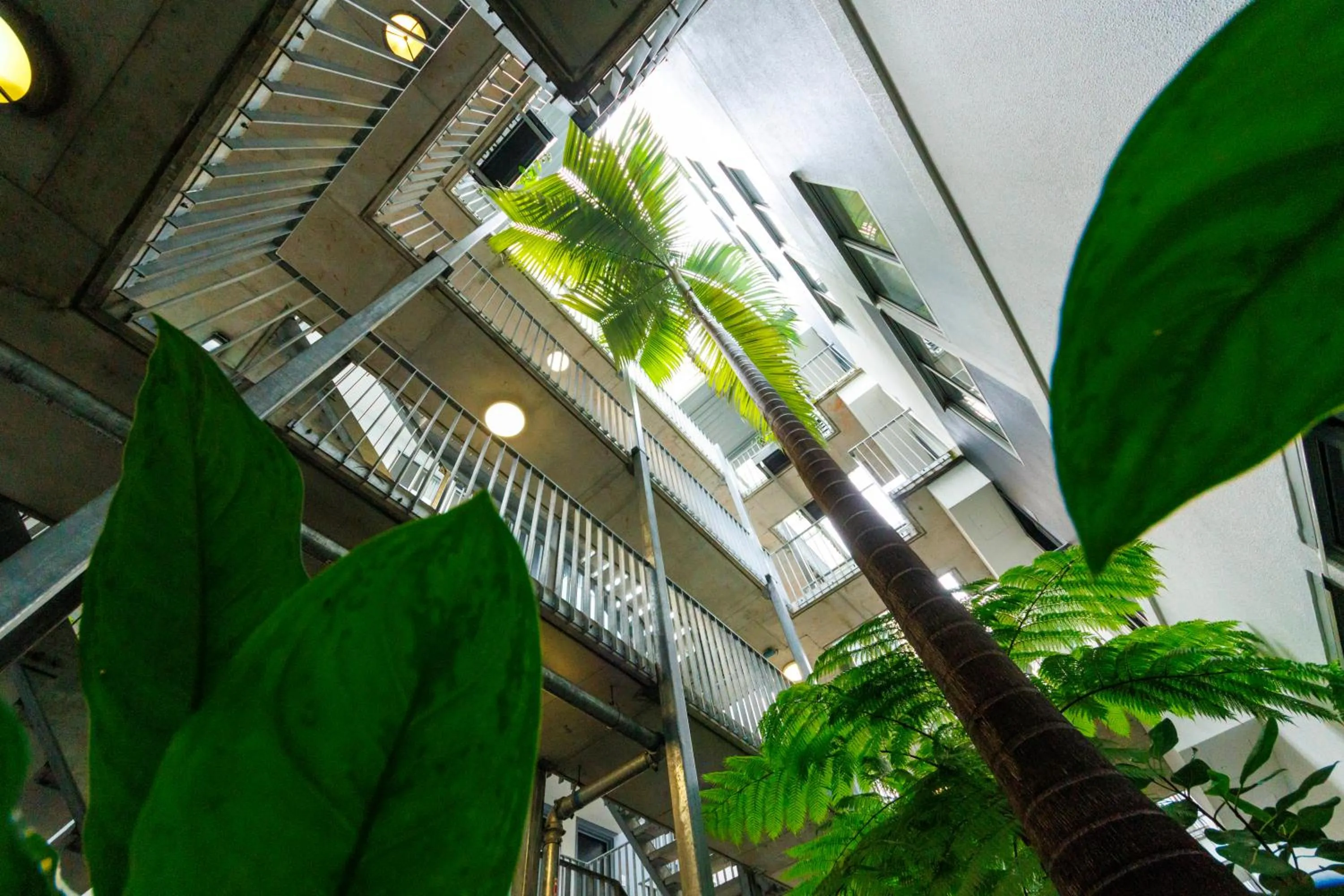 Garden in The Miro Apartments