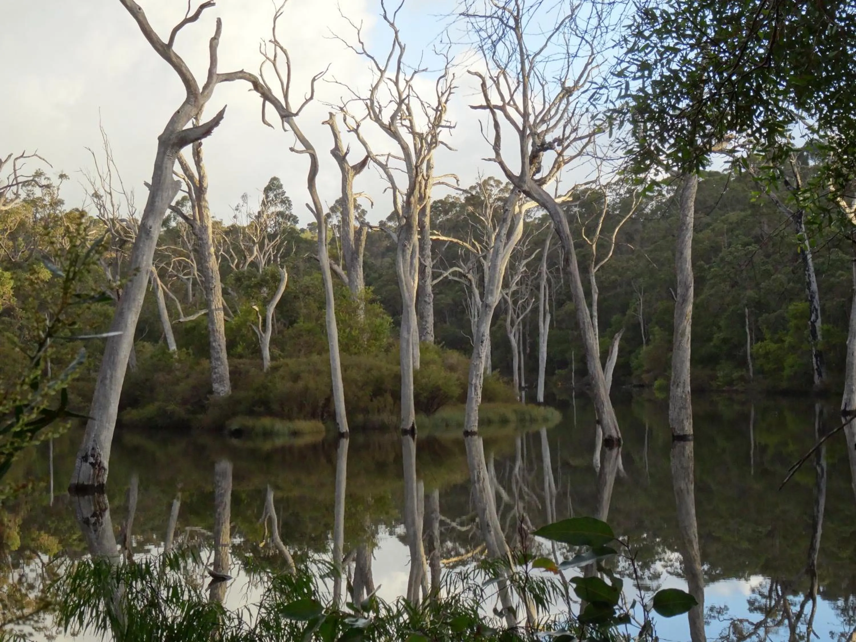 Activities in Edge Of The Forest Motel