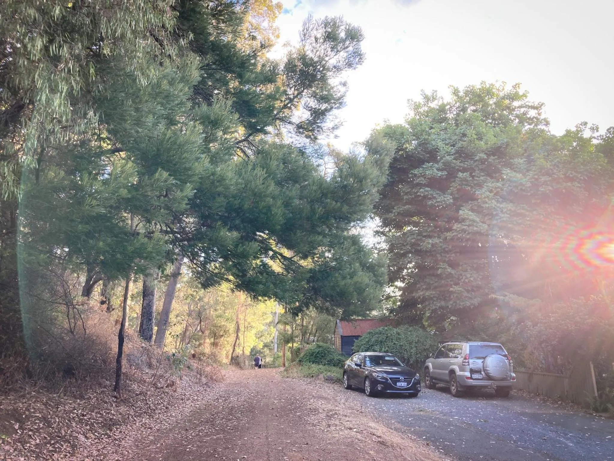 View (from property/room) in Edge Of The Forest Motel