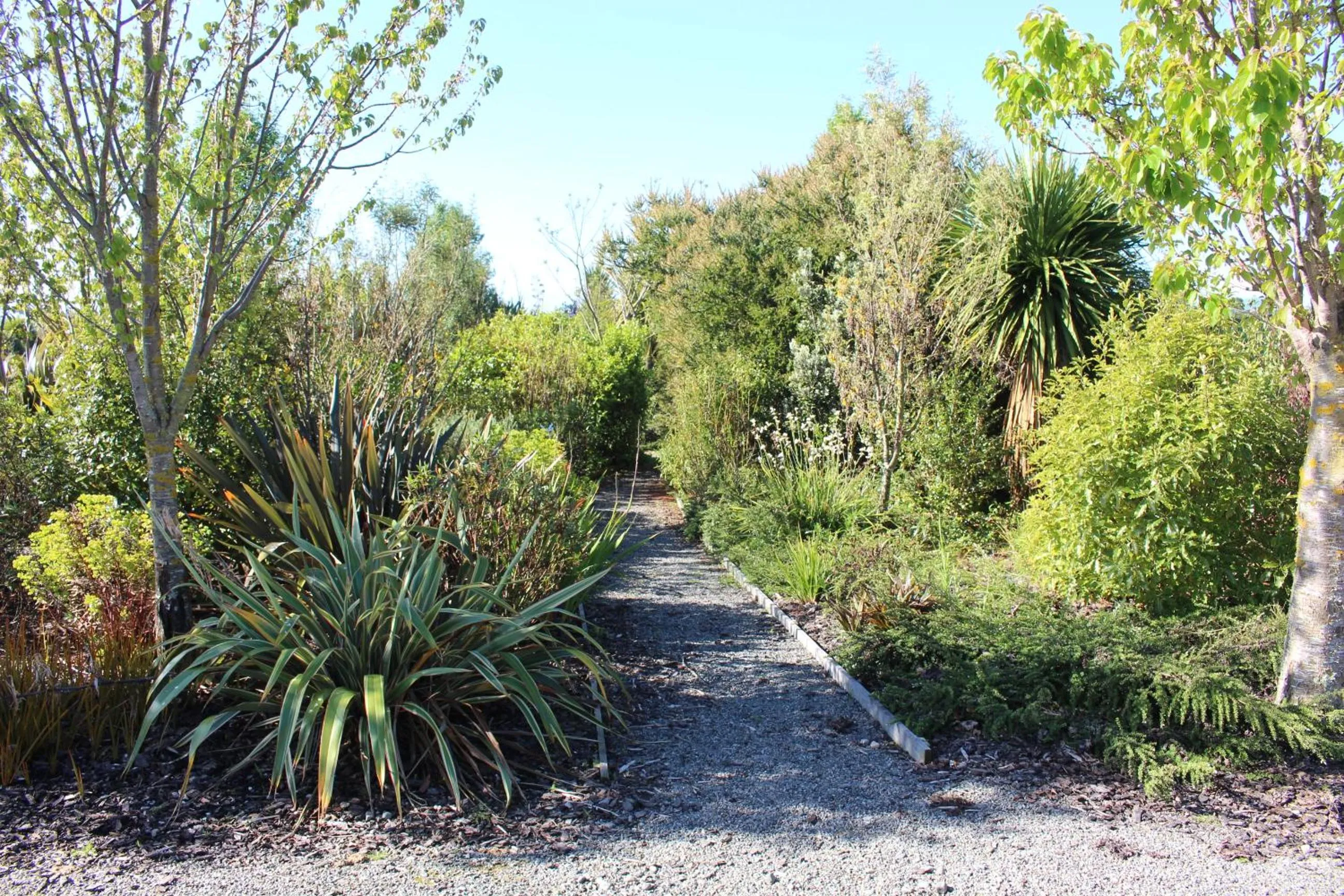 Garden in The Summit Lodge