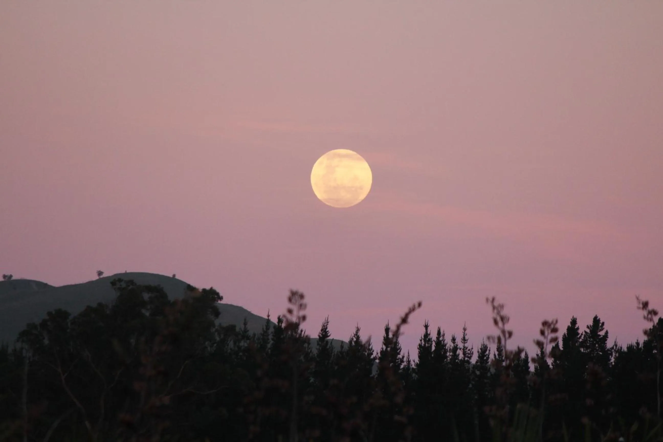 Area and facilities in The Summit Lodge