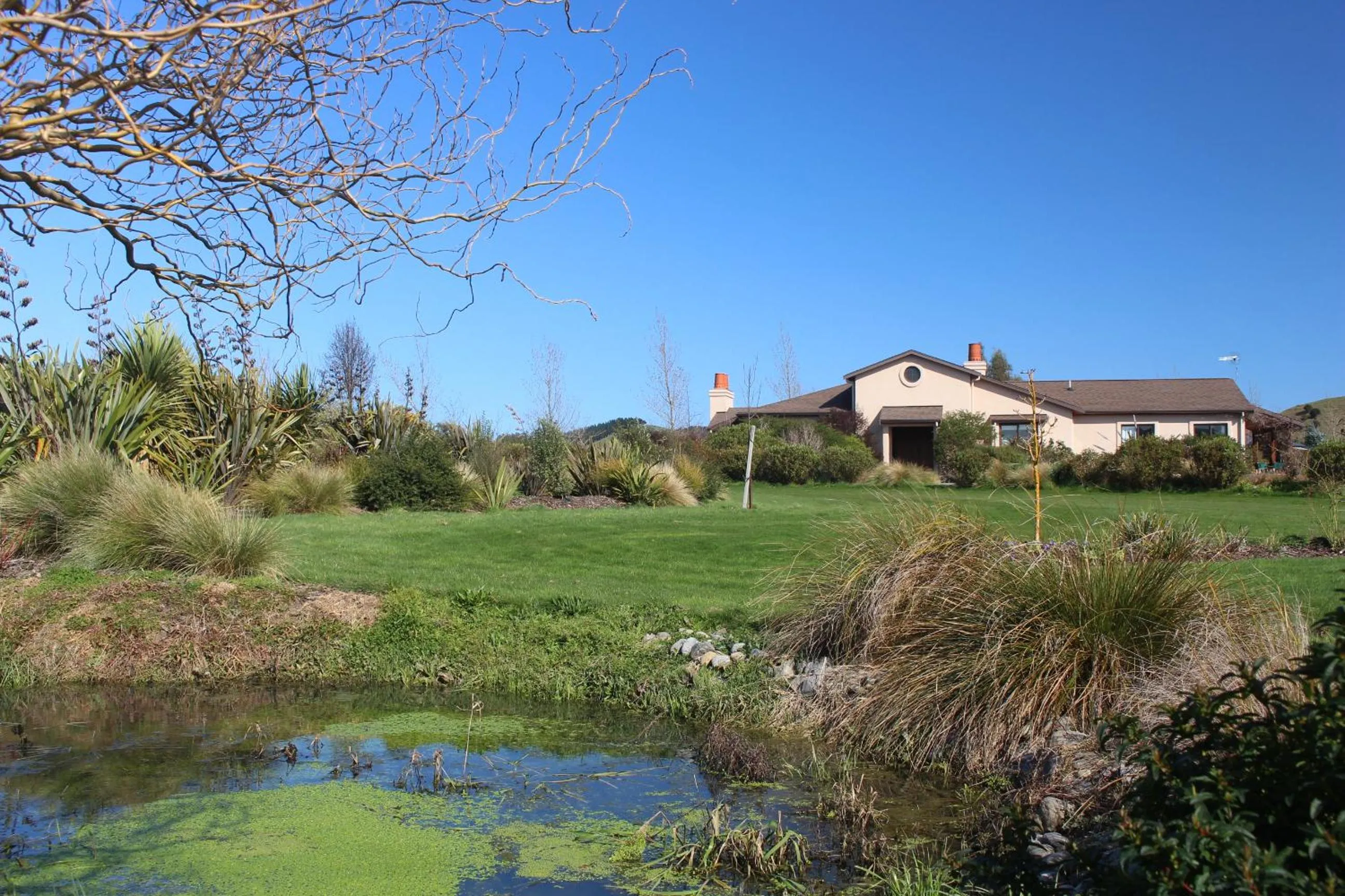 Garden in The Summit Lodge