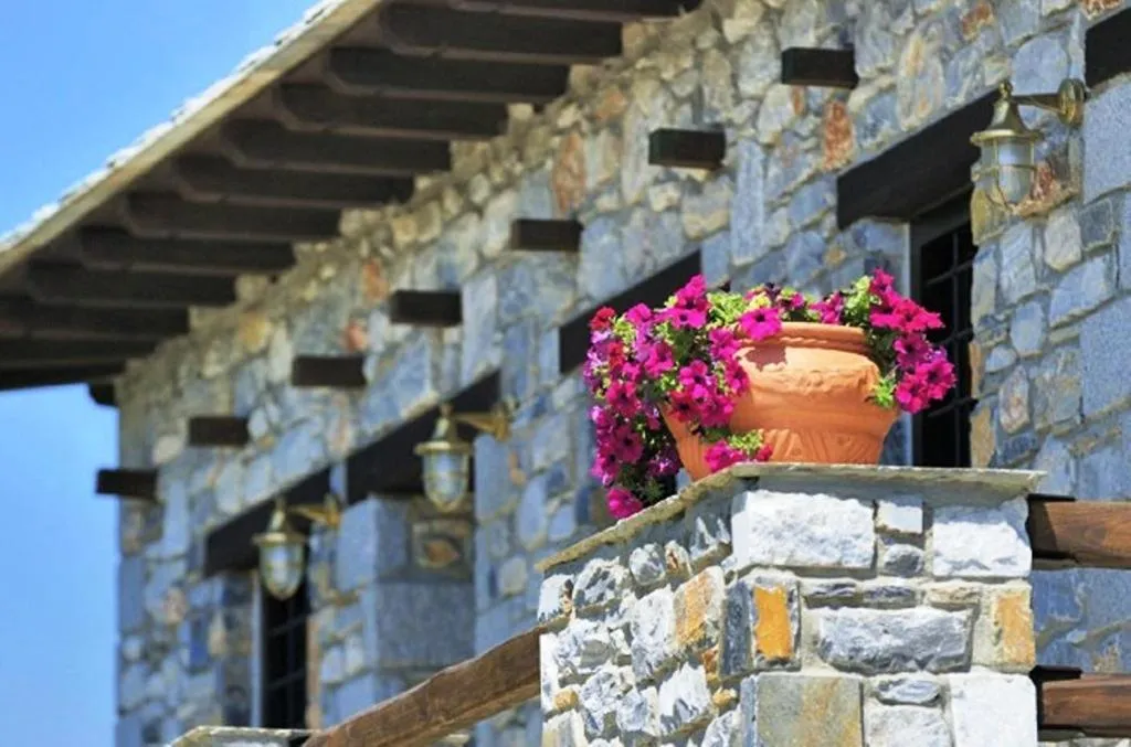 Decorative detail in Prasino - Galazio