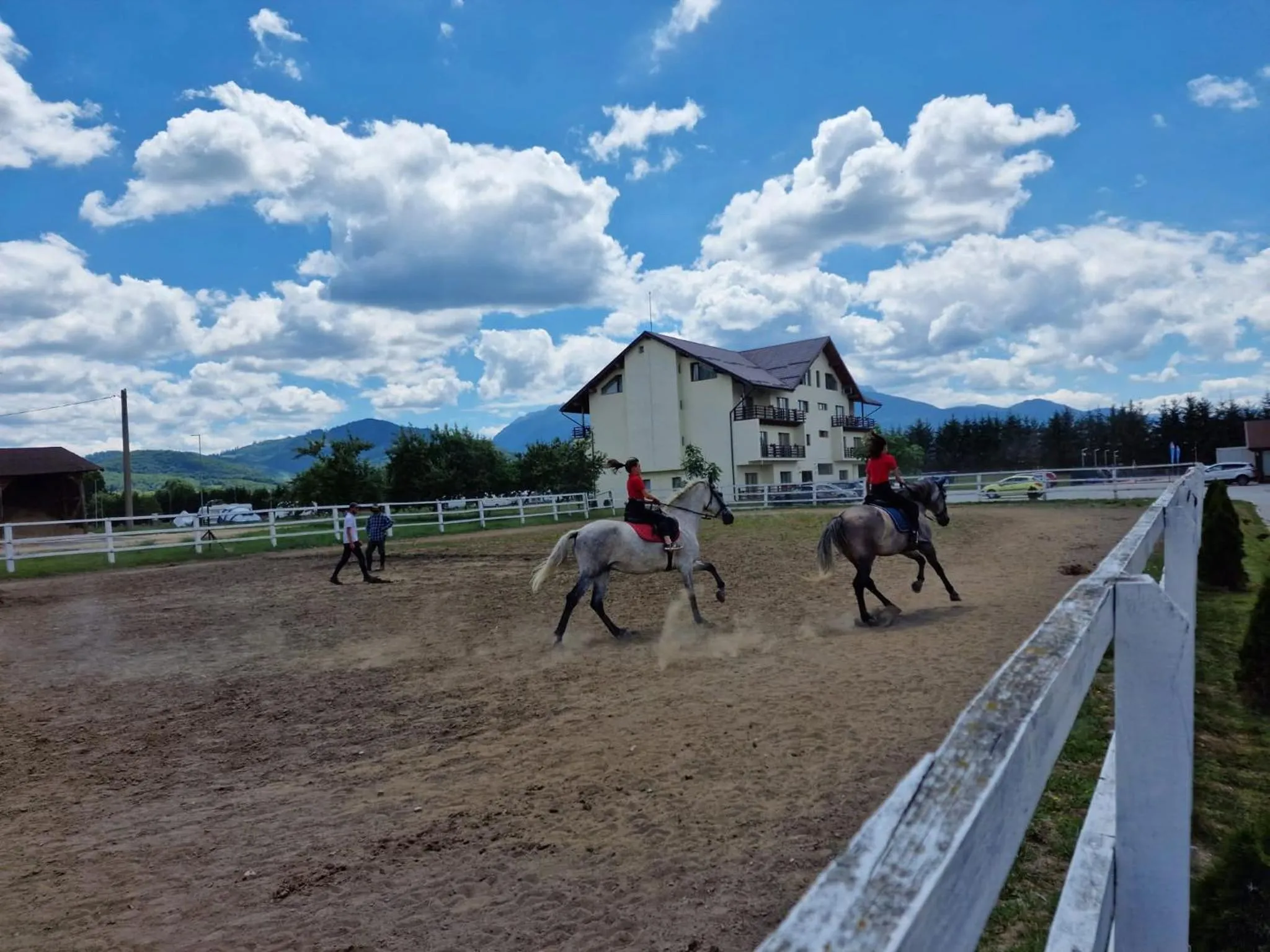 Day in Complex Panicel