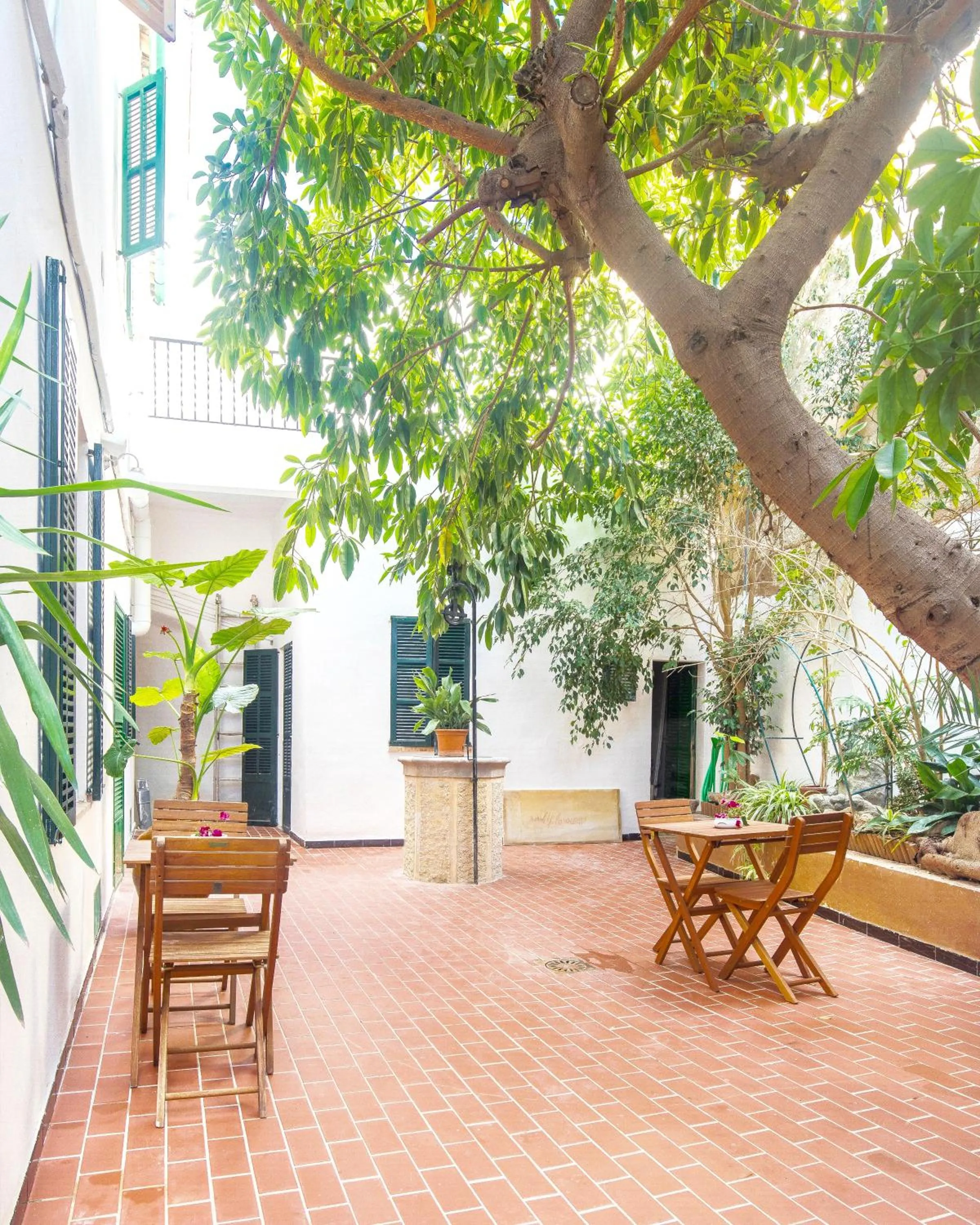 Patio in Senda Caimari