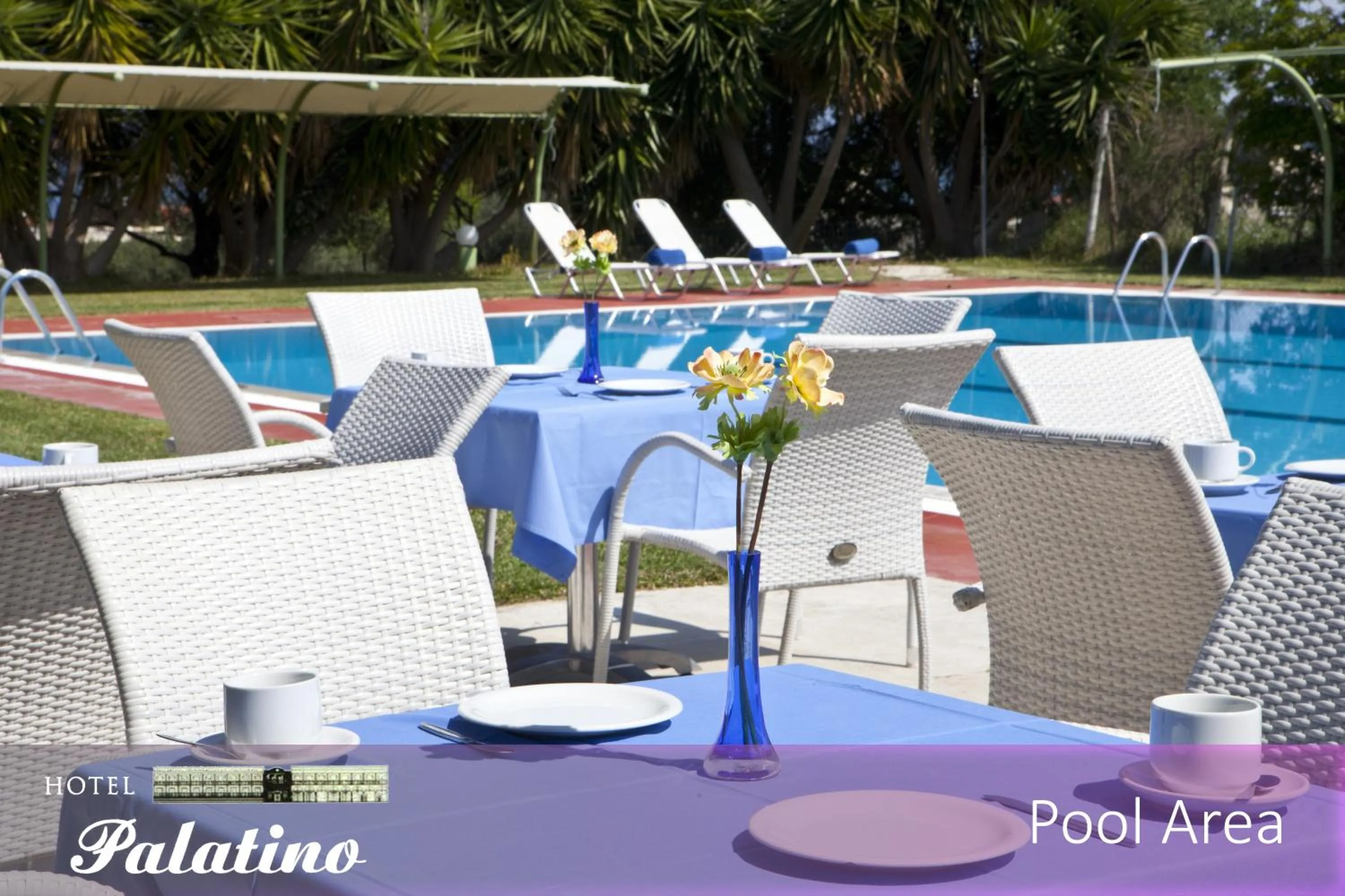 Swimming pool in Palatino Hotel