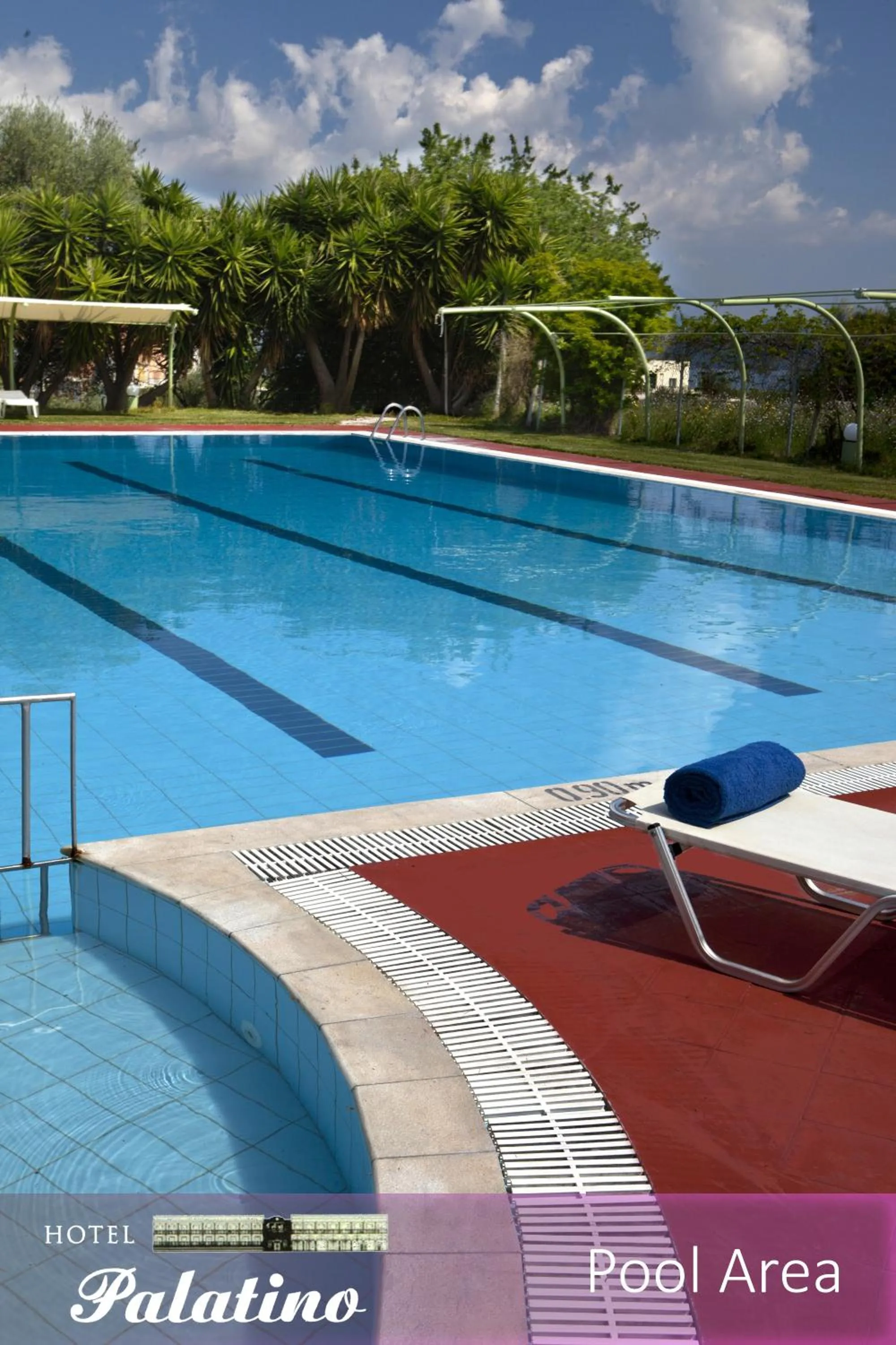 Swimming pool in Palatino Hotel