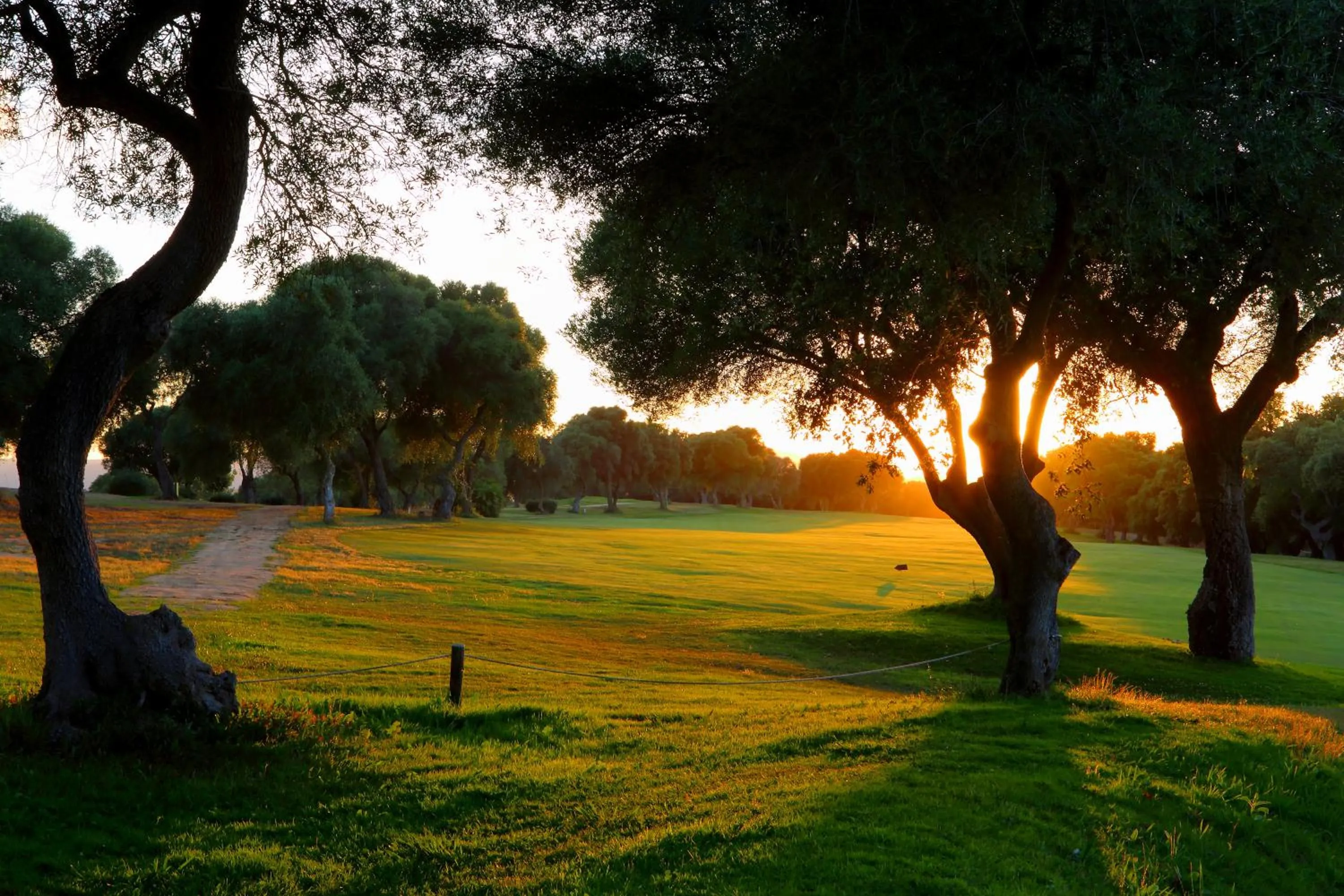 Garden in Hotel Hacienda Montenmedio