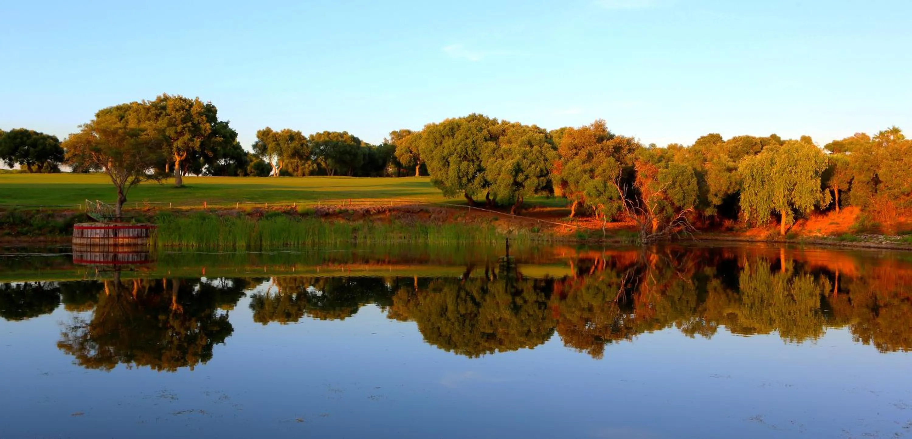 Natural landscape in Hotel Hacienda Montenmedio