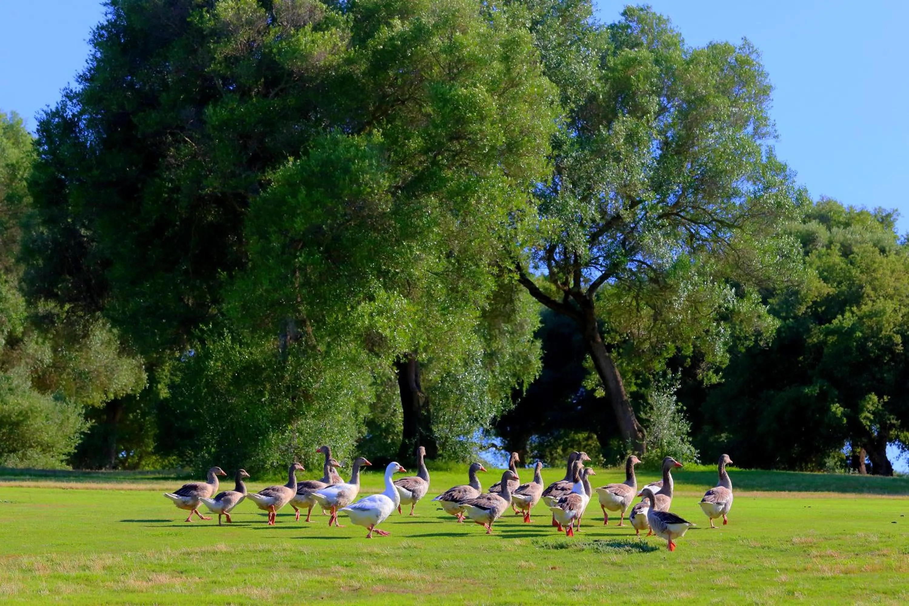Day in Hotel Hacienda Montenmedio