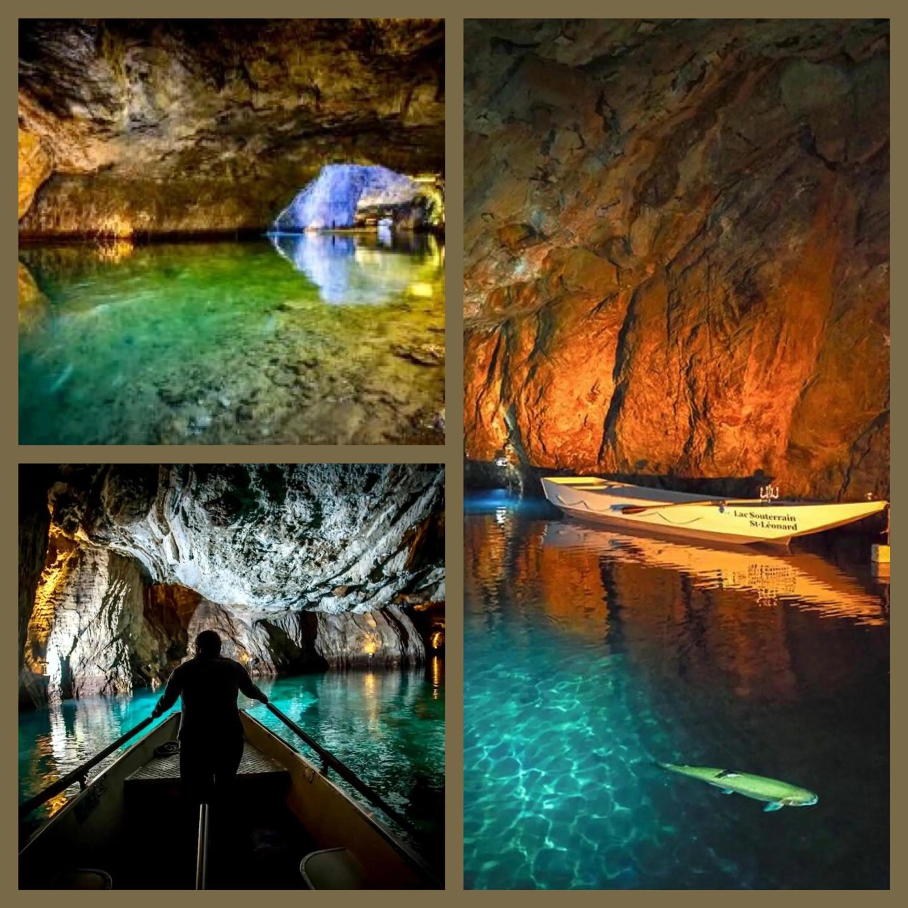 Natural landscape in Saillon Evasion Sarl