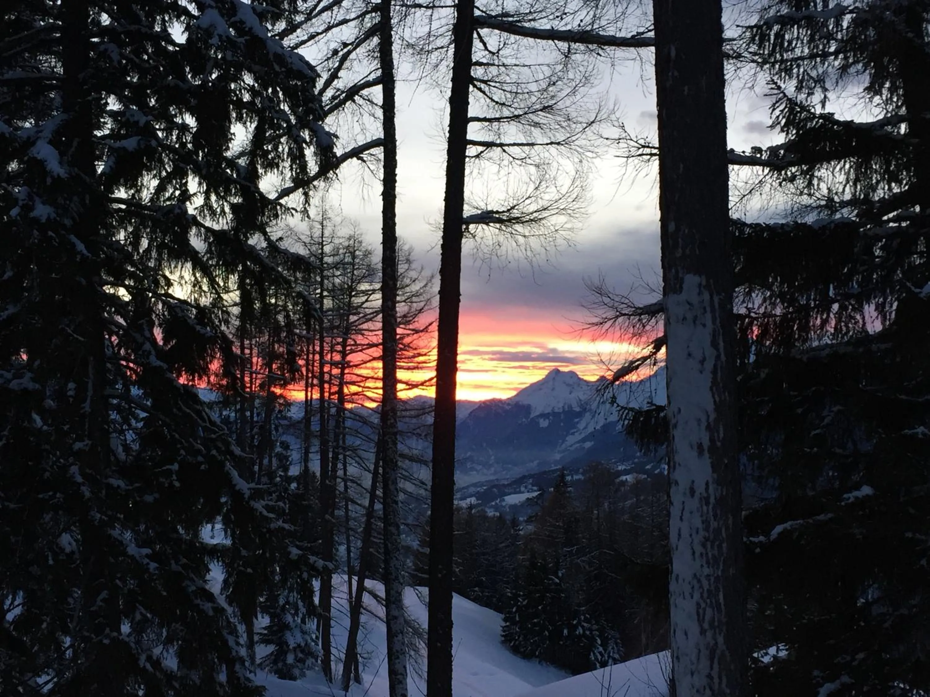 Natural landscape in Saillon Evasion Sarl