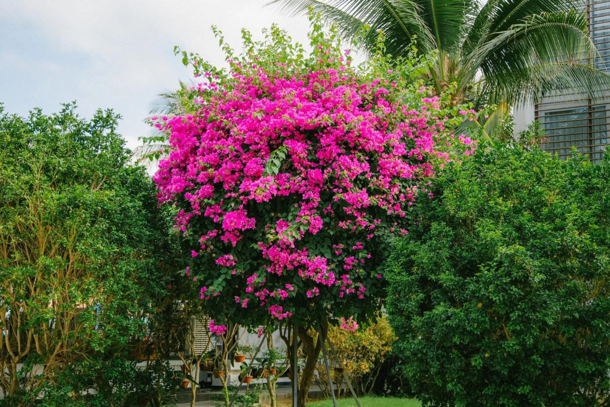 Property building in Villa Del Sol Beach Resort & Spa