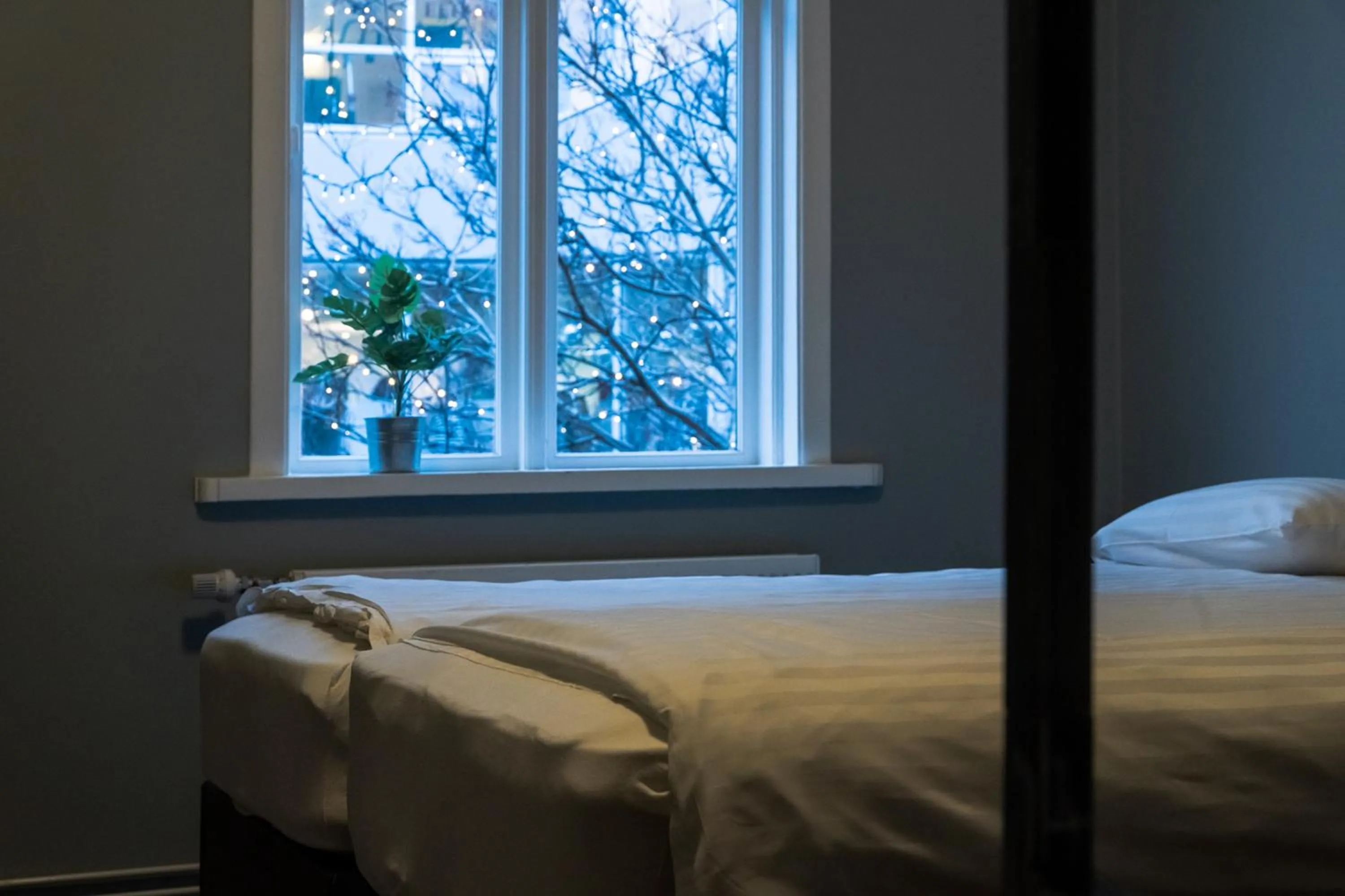 Bed in Akureyri Backpackers