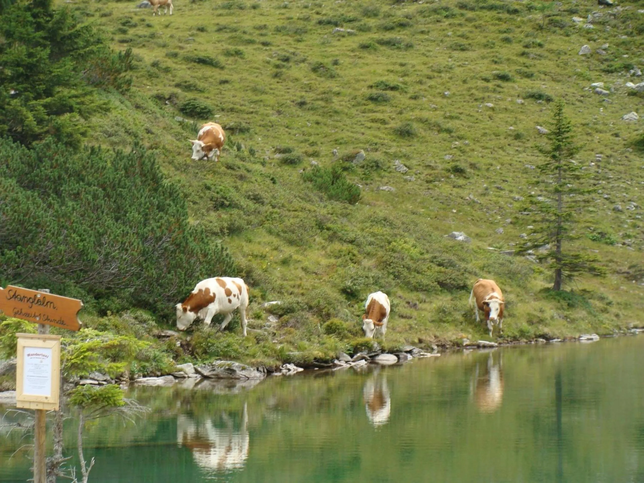 Summer in Landhotel Häuserl im Wald