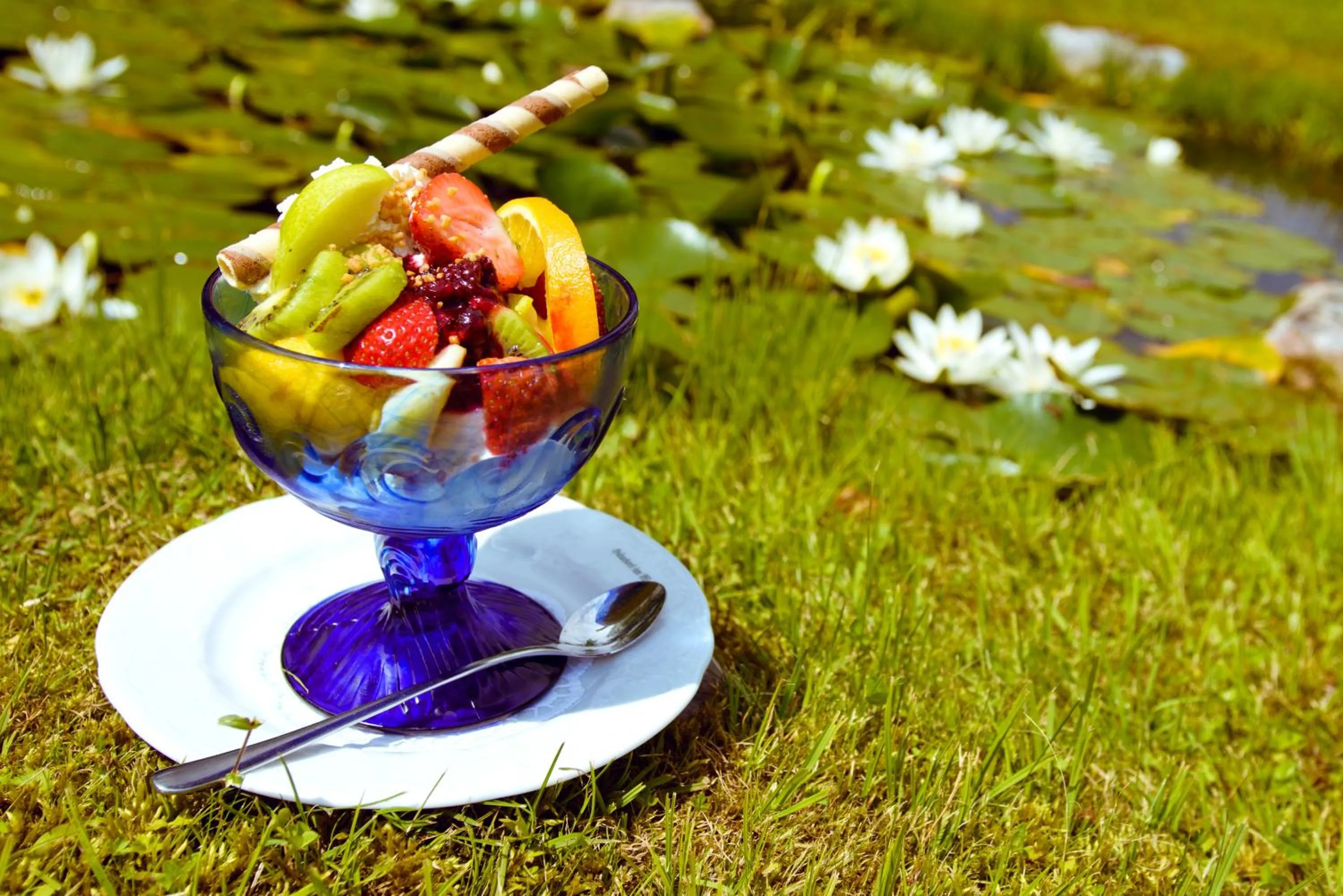 Food close-up in Landhotel Häuserl im Wald