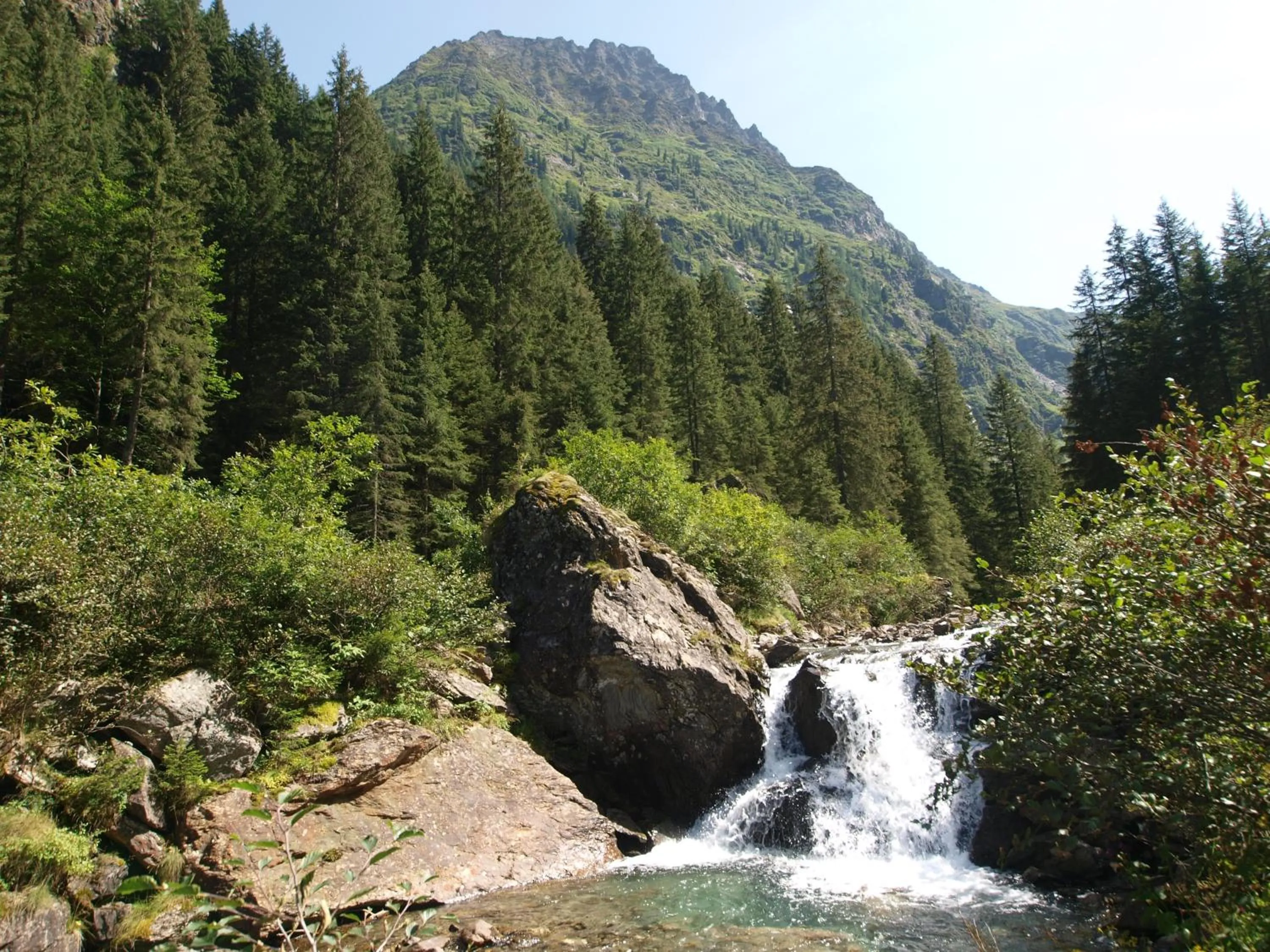 Summer in Landhotel Häuserl im Wald