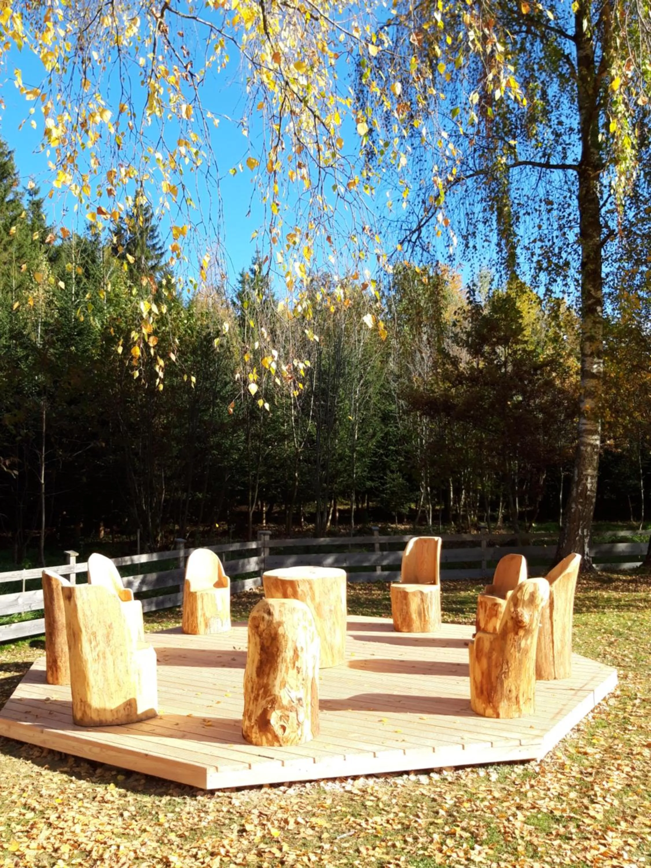Spa and wellness centre/facilities in Landhotel Häuserl im Wald