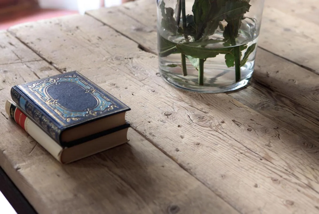 Other in BYPILLOW Cluc Begur