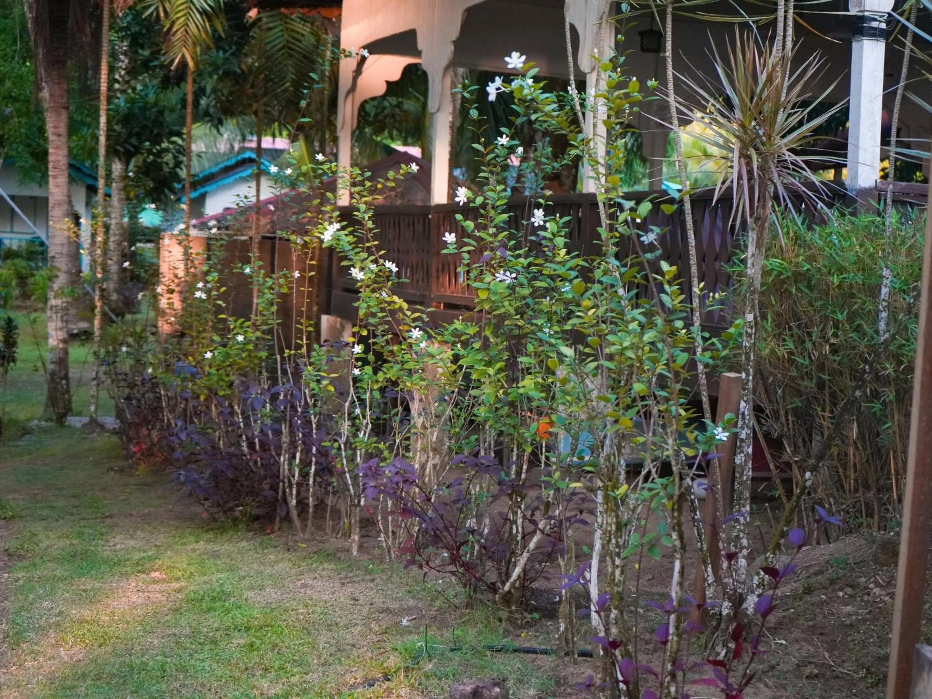 Garden in Impian Inn