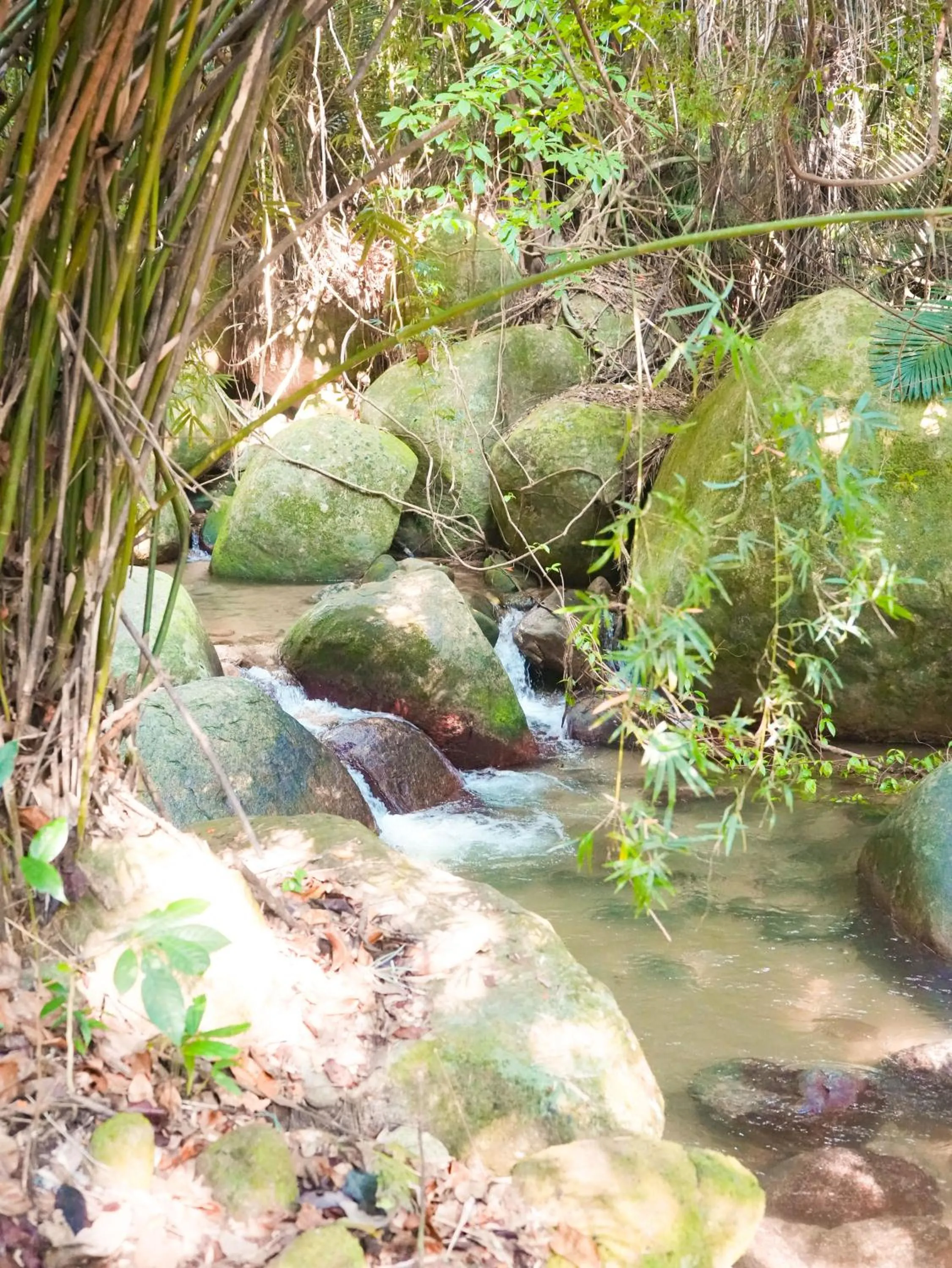 Hiking in Impian Inn