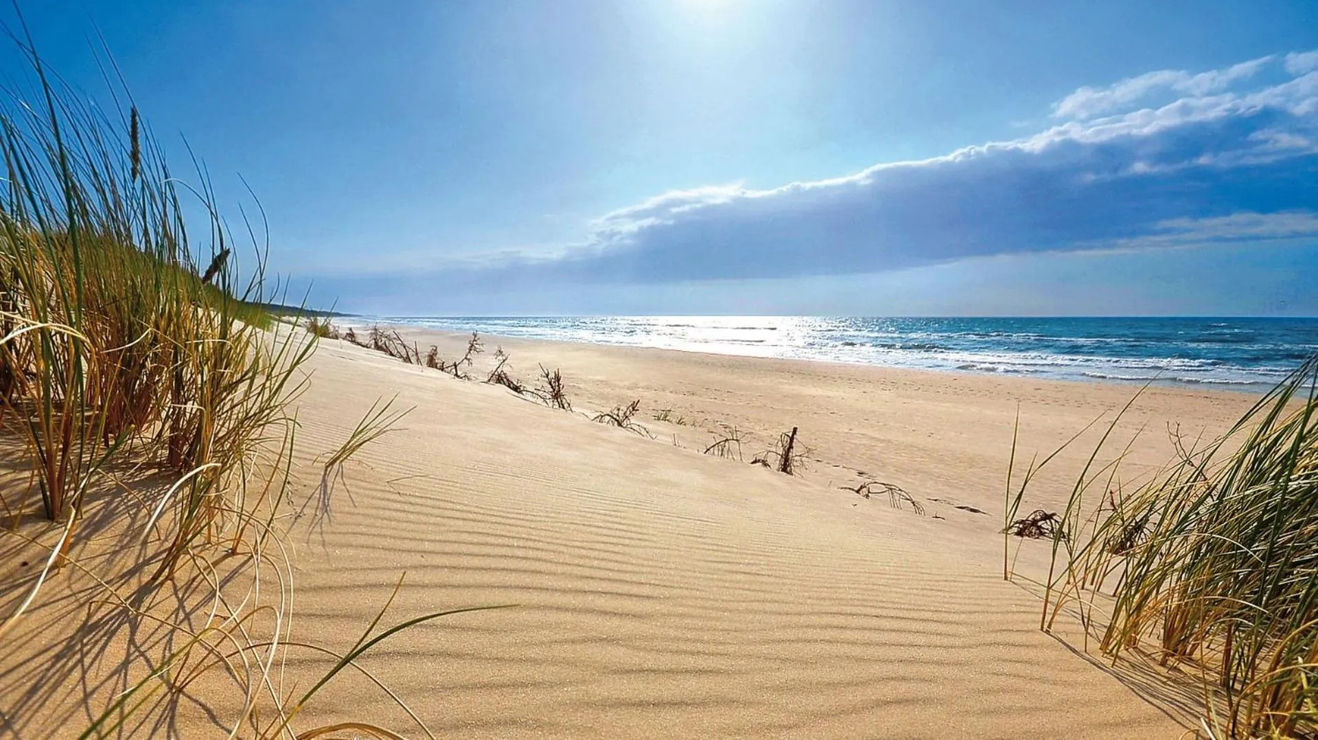 Natural landscape in Hotel Astoria