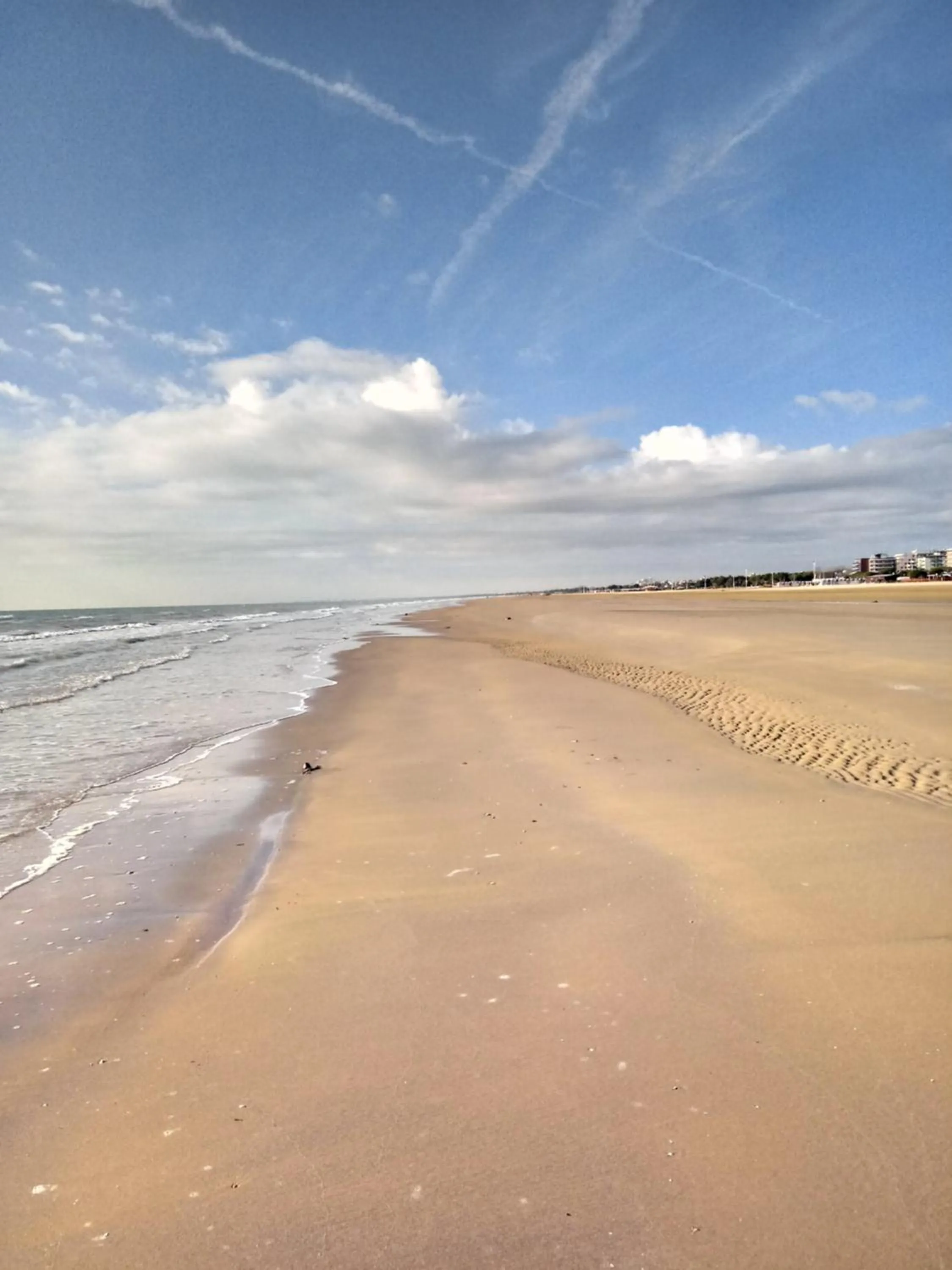 Natural landscape in Hotel Astoria