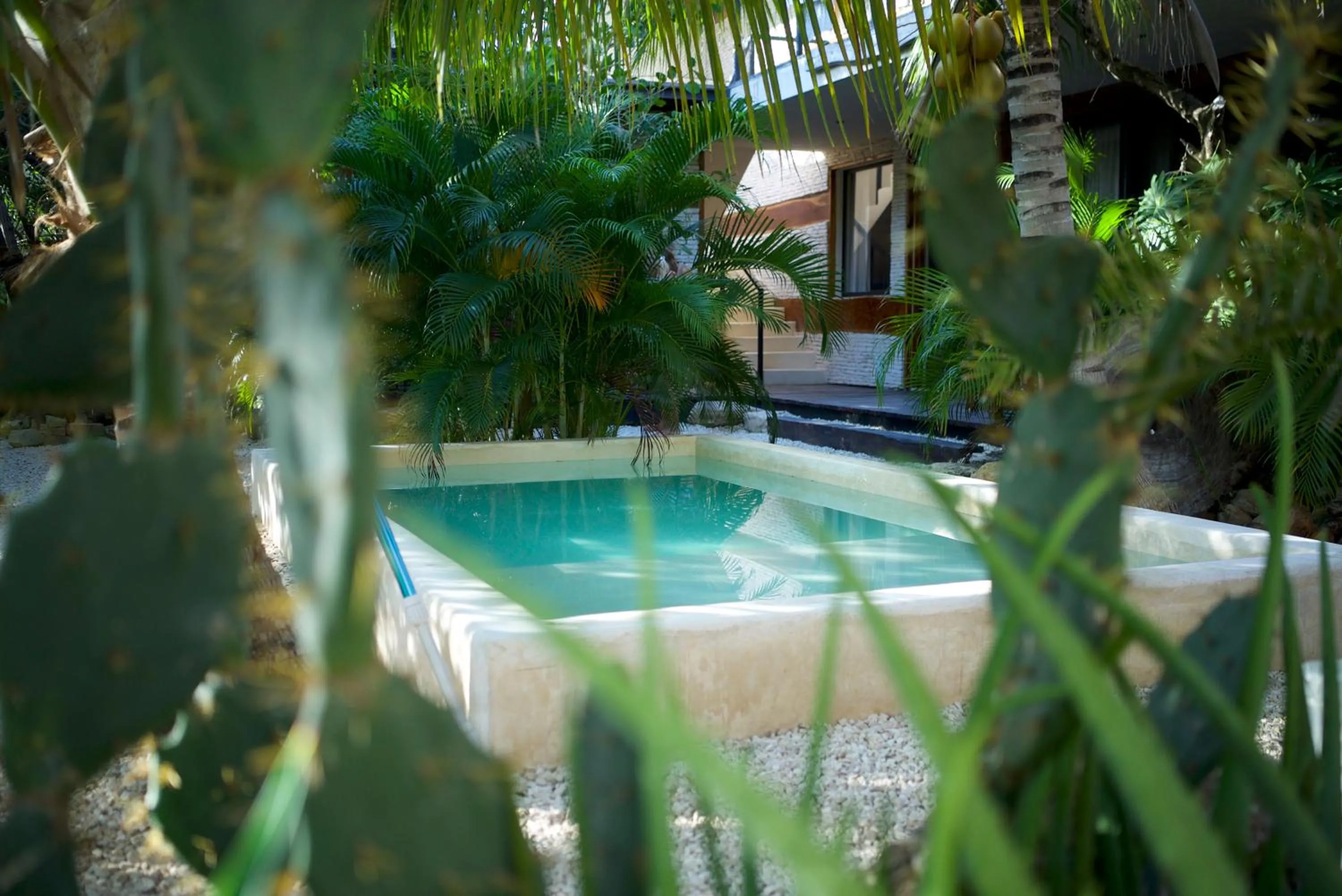 Swimming pool in La Casa de Mia Tulum