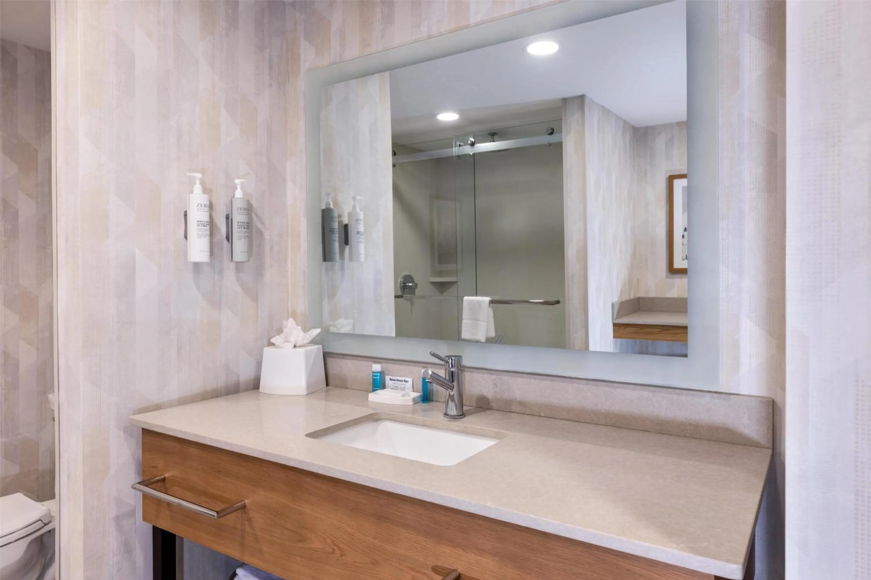 Bathroom in Hampton Inn Lawrenceville Duluth