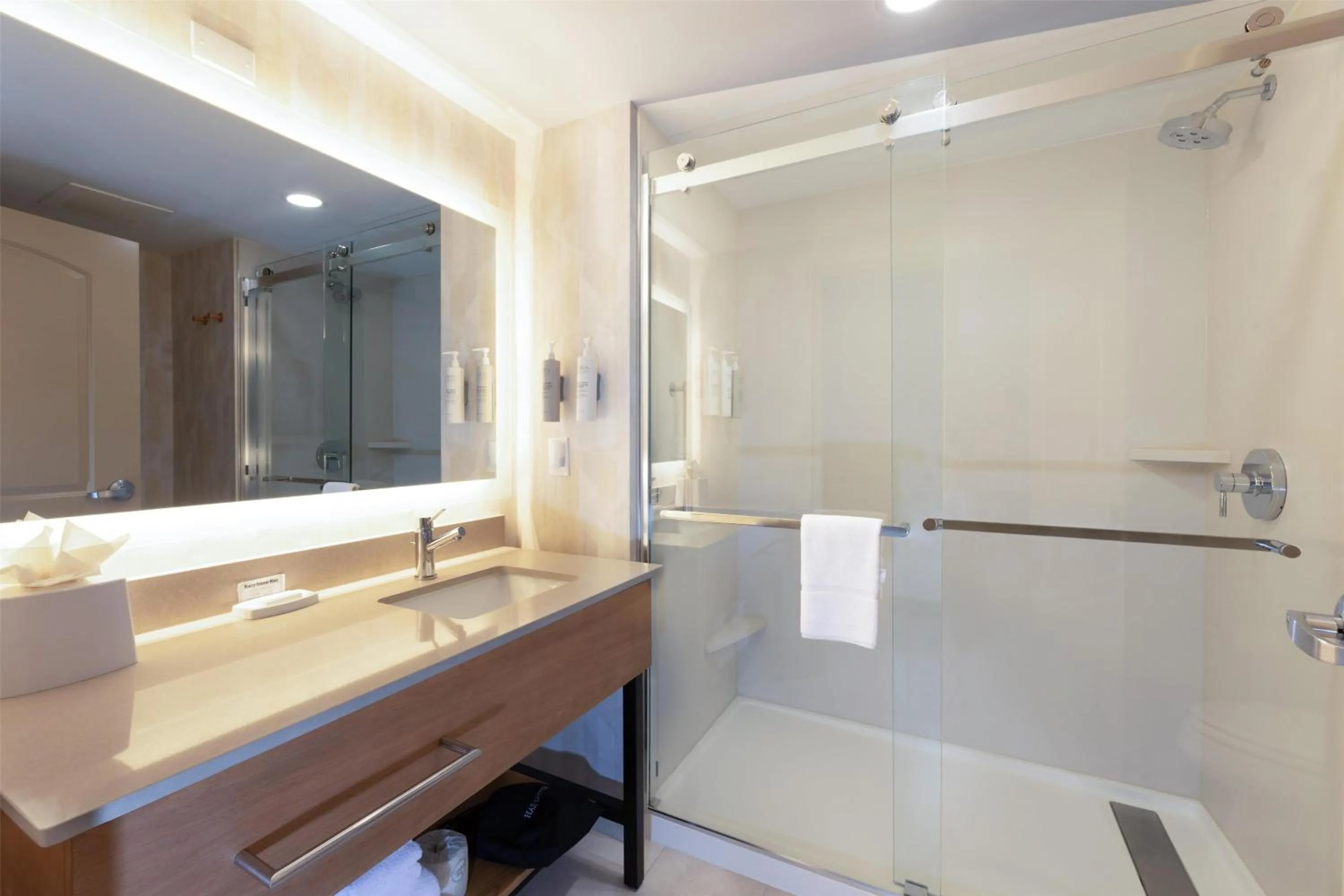 Bathroom in Hampton Inn Lawrenceville Duluth