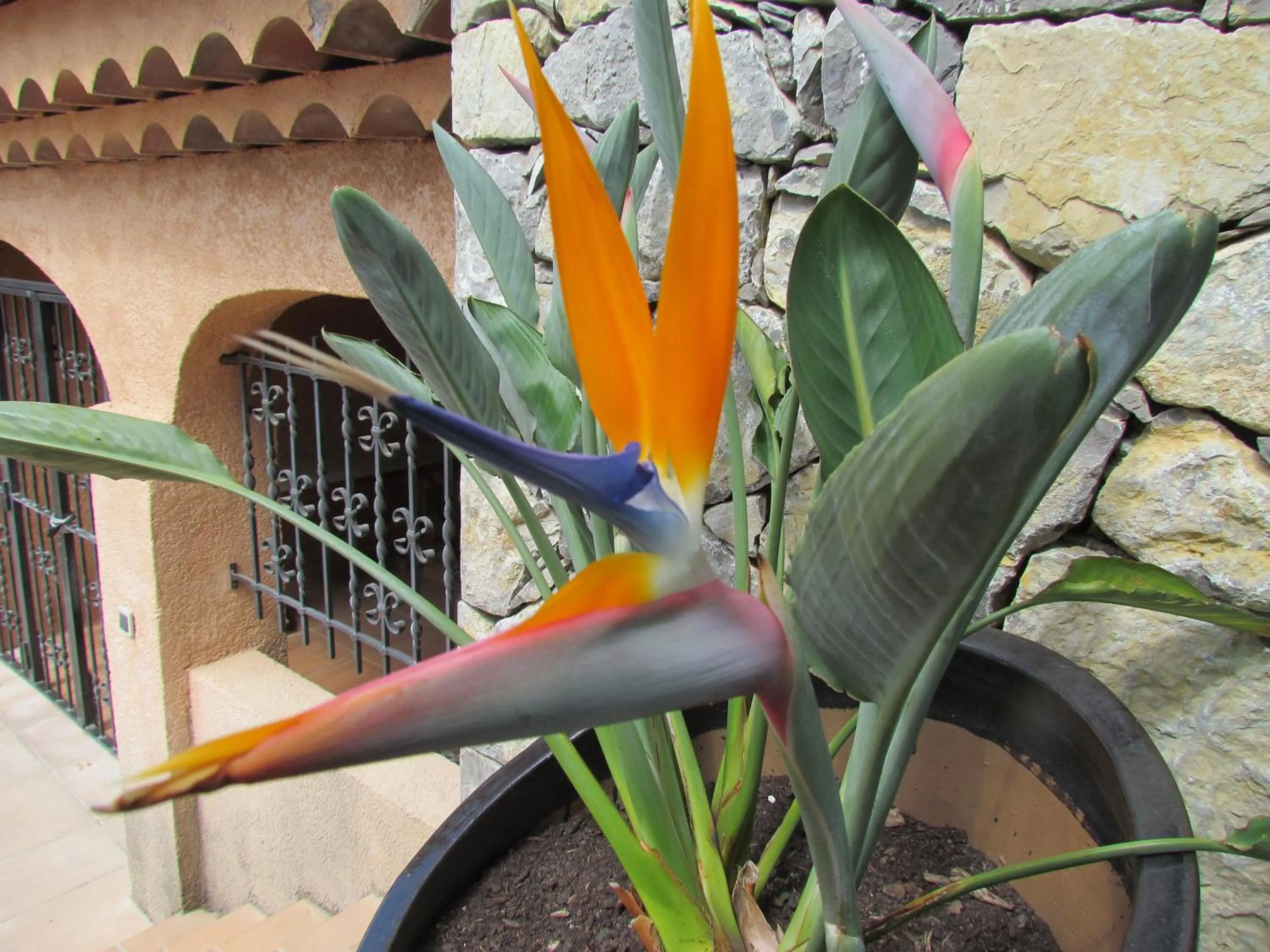 Le Petit Coin de Paradis