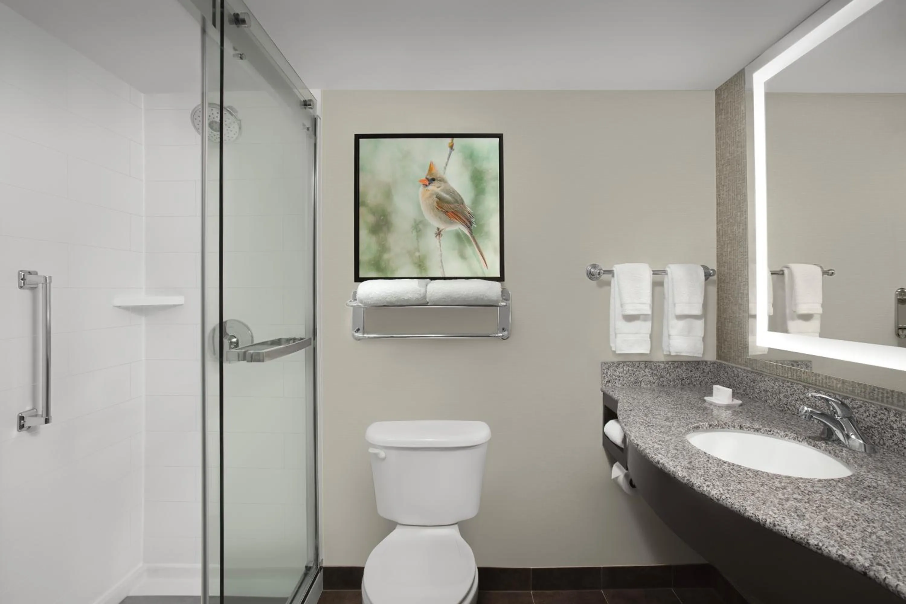 Bathroom in Hilton Garden Inn Hoffman Estates