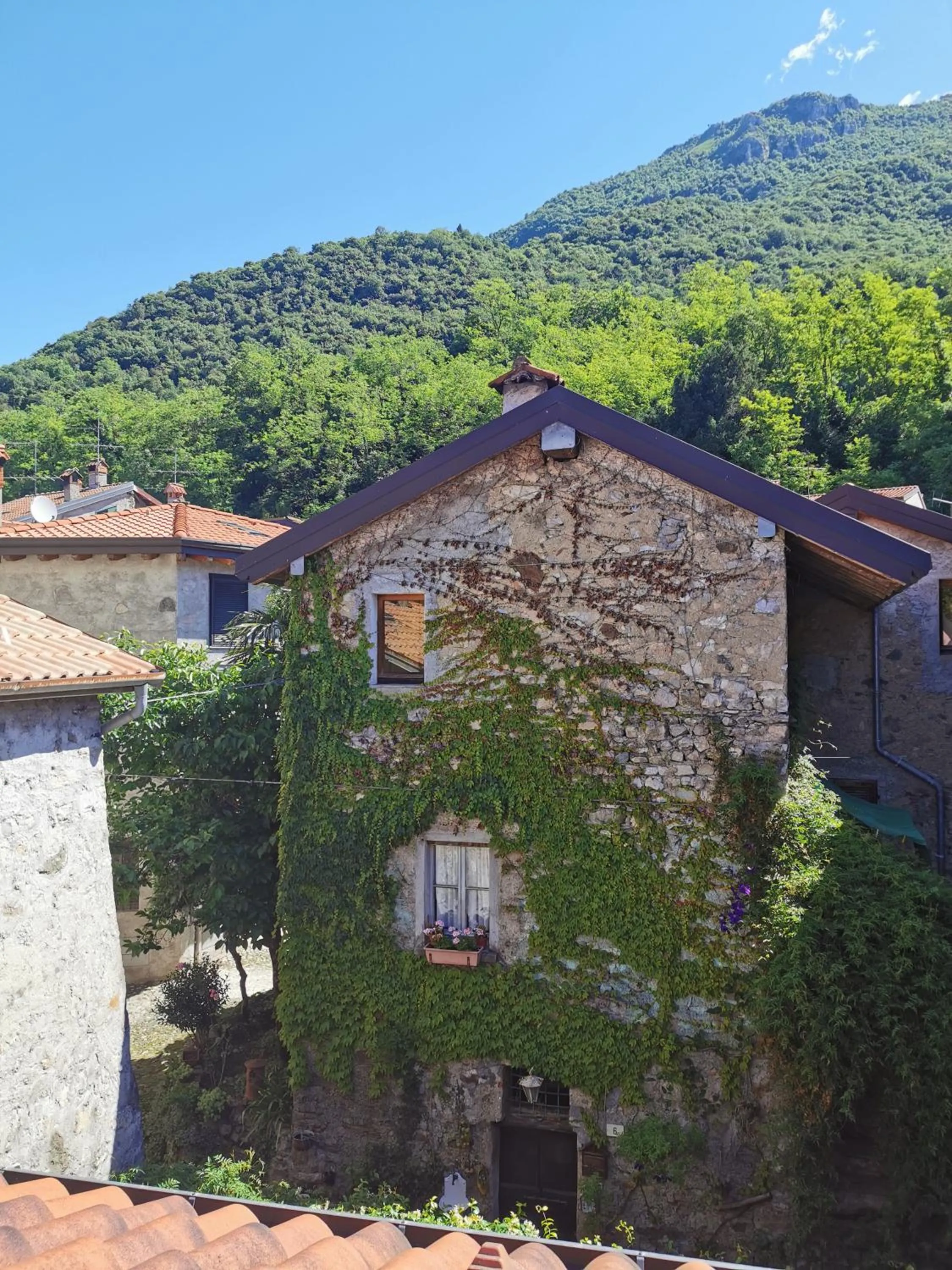 Natural landscape in Alla Torre del Barbarossa B&B FORESTERIA