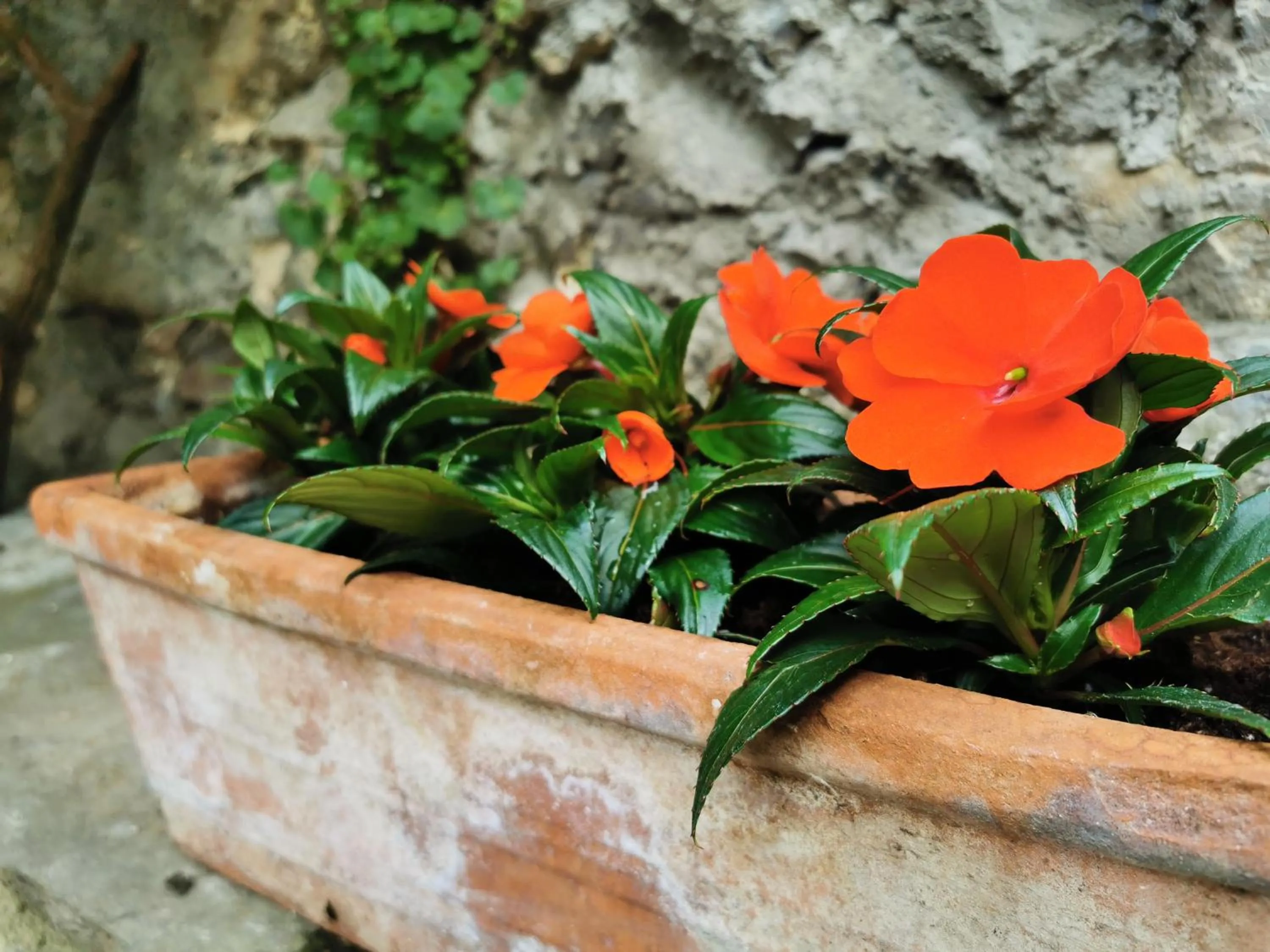 Spring in Alla Torre del Barbarossa B&B FORESTERIA