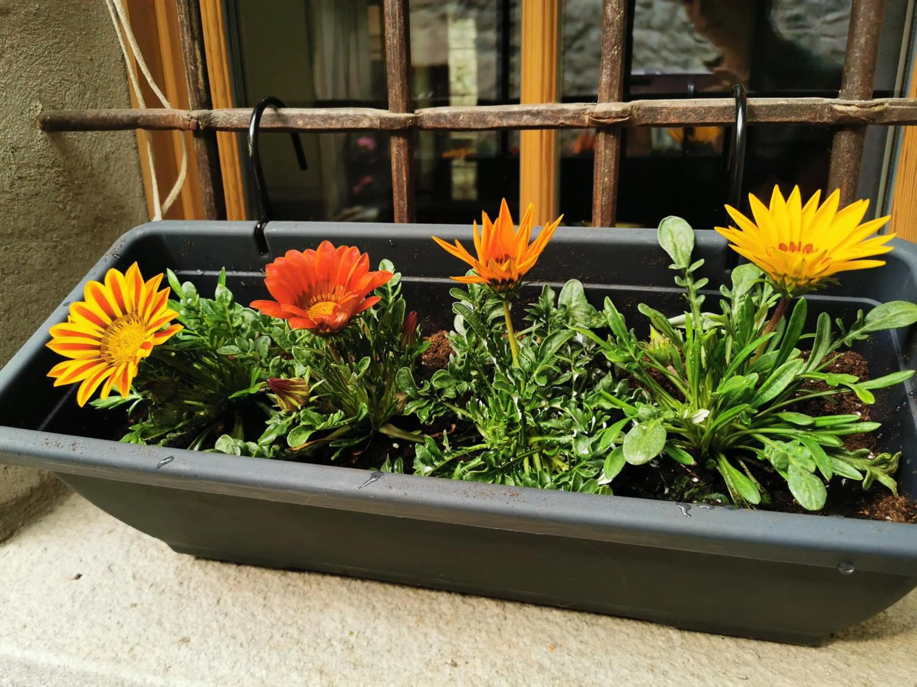 Patio in Alla Torre del Barbarossa B&B FORESTERIA