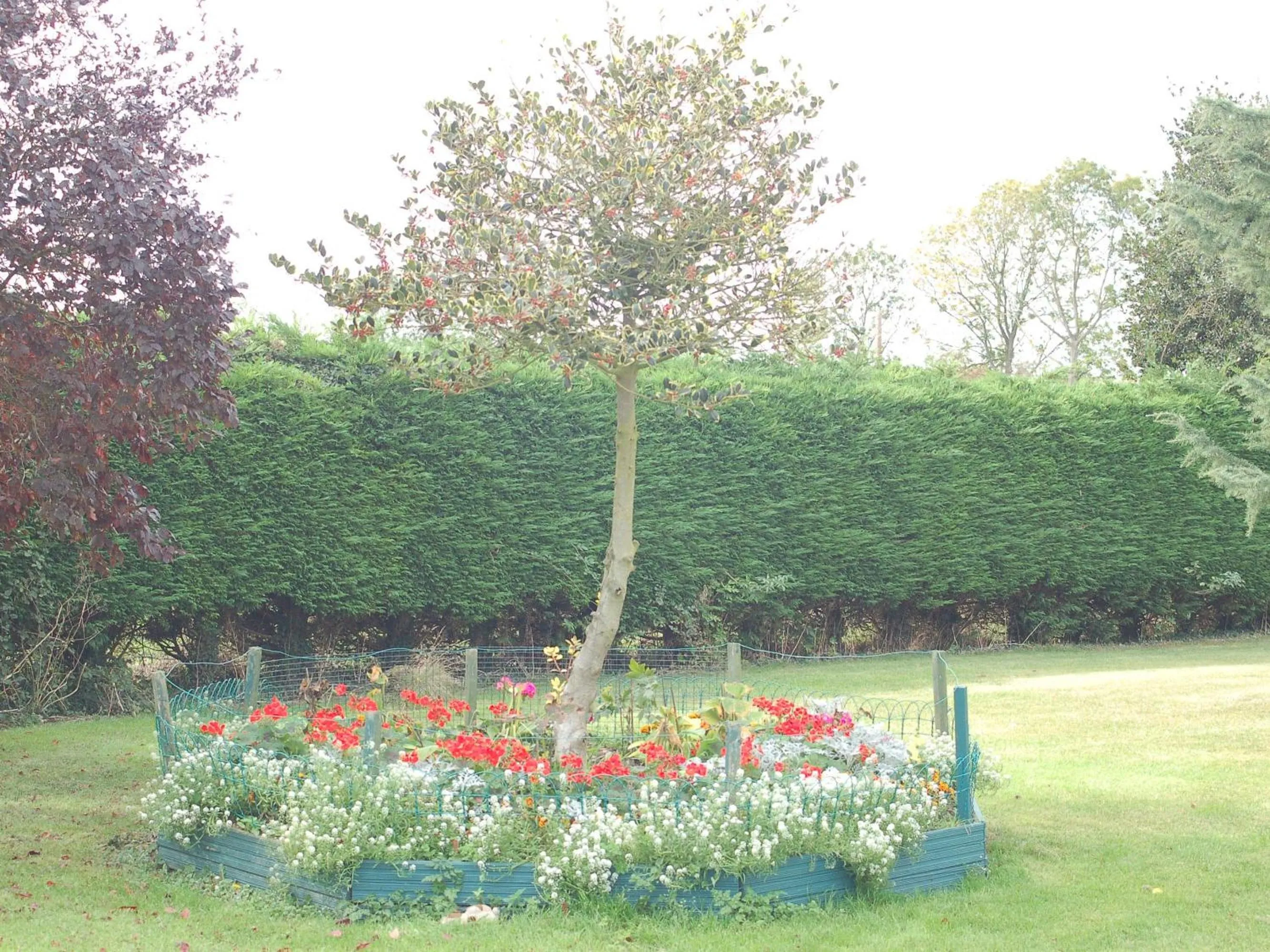 View (from property/room) in Strenneth