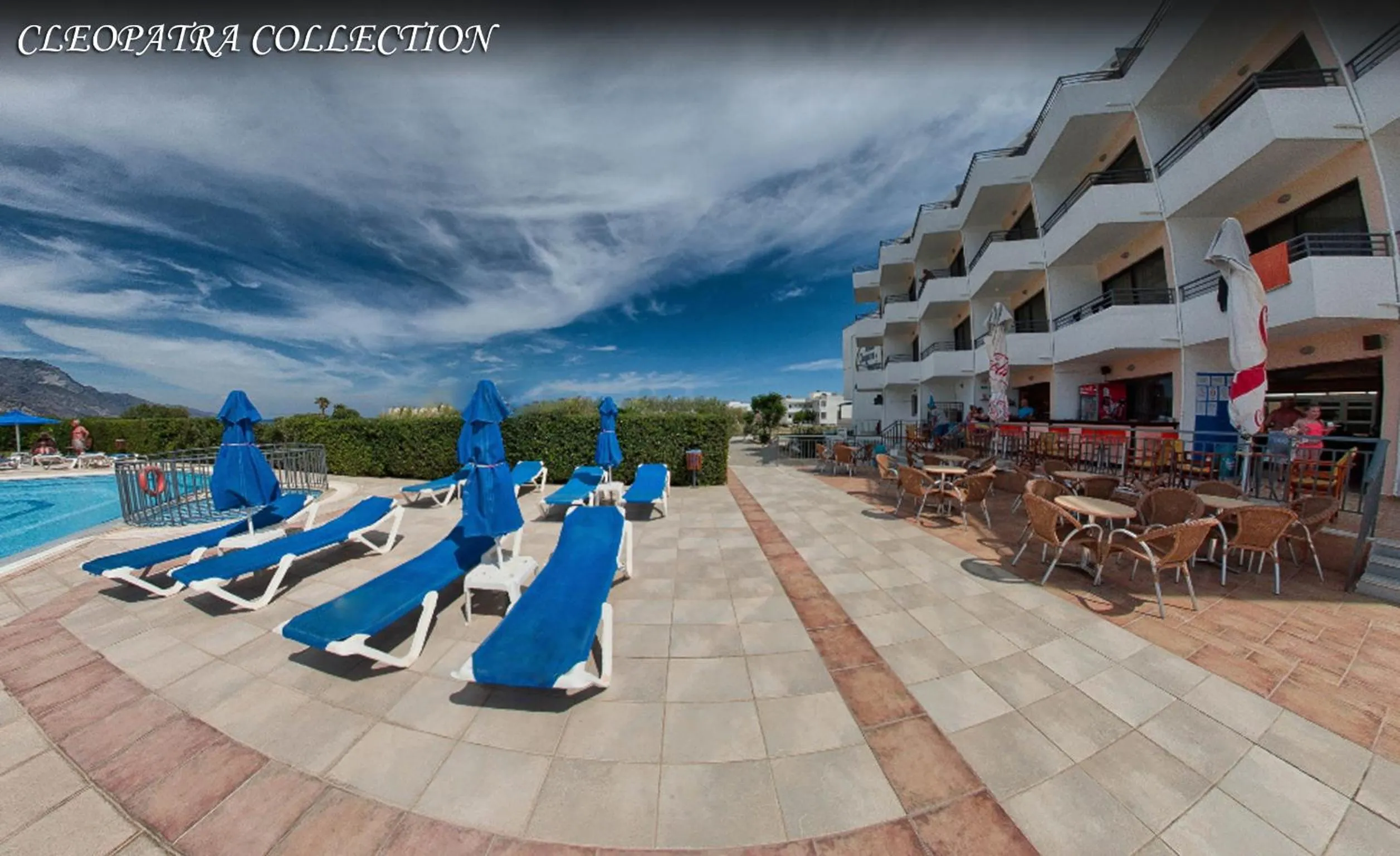 Food close-up in Cleopatra Superior