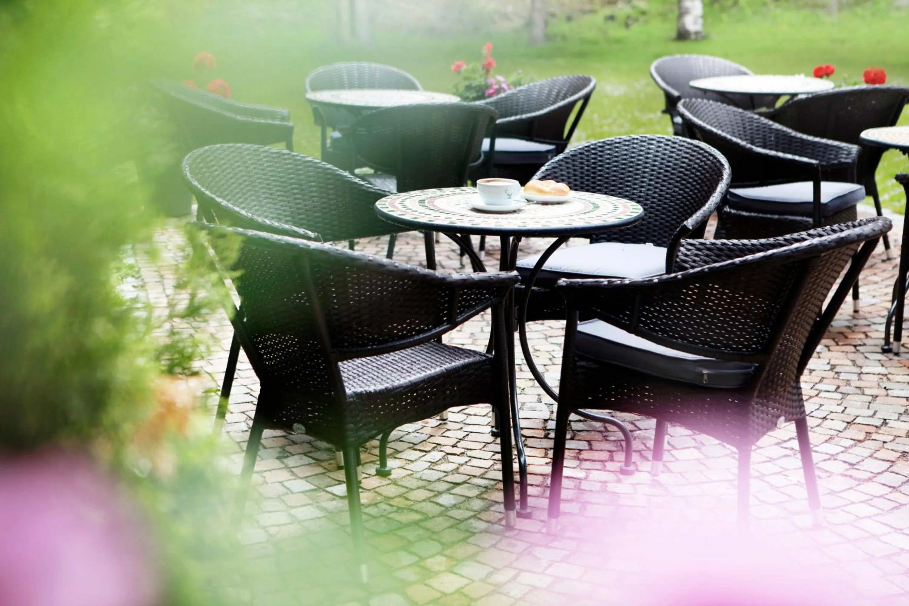 Garden in Valluga Hotel