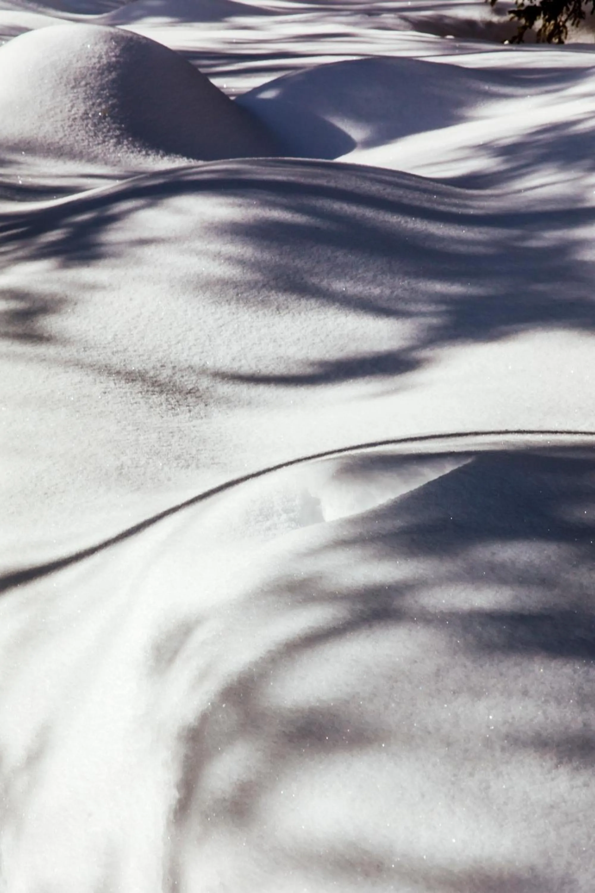 Natural landscape in Valluga Hotel