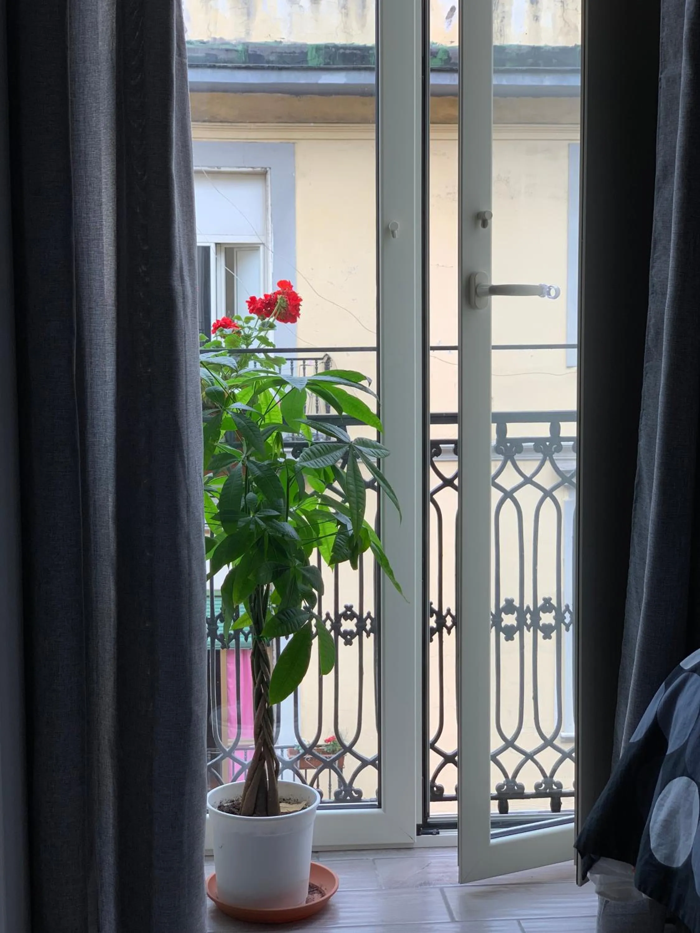 Balcony/Terrace in Joy Naples