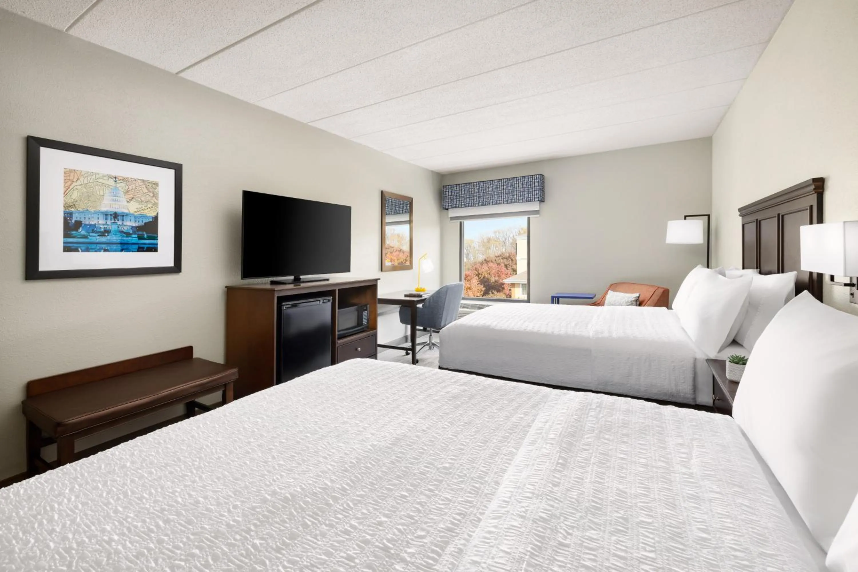 Guests, Bed in Hampton Inn Columbia, MD