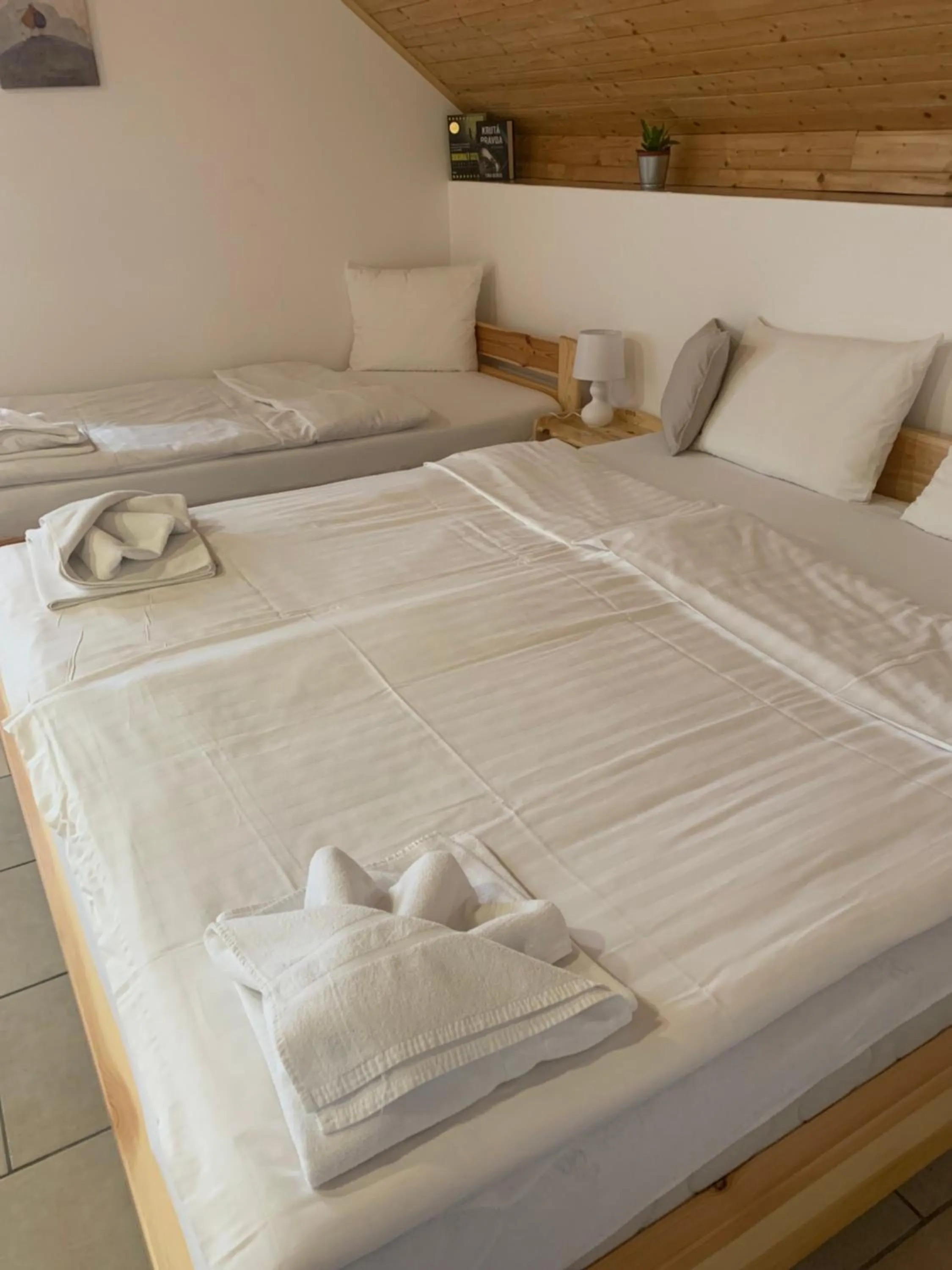 Bed in Penzion Pod pecí