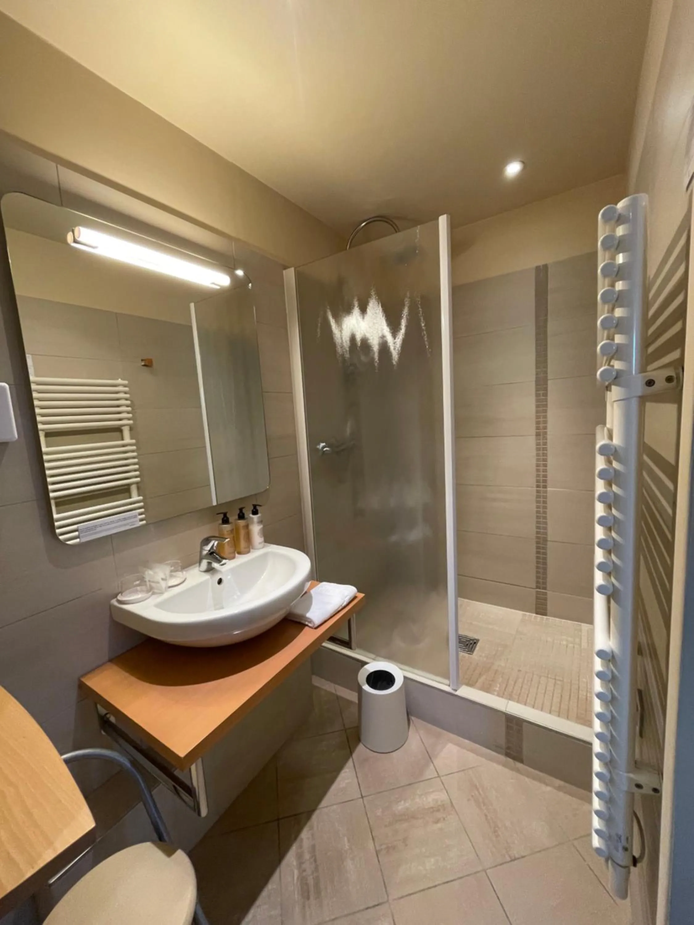 Shower in Le Pavillon d'Enghien, Vichy Centre