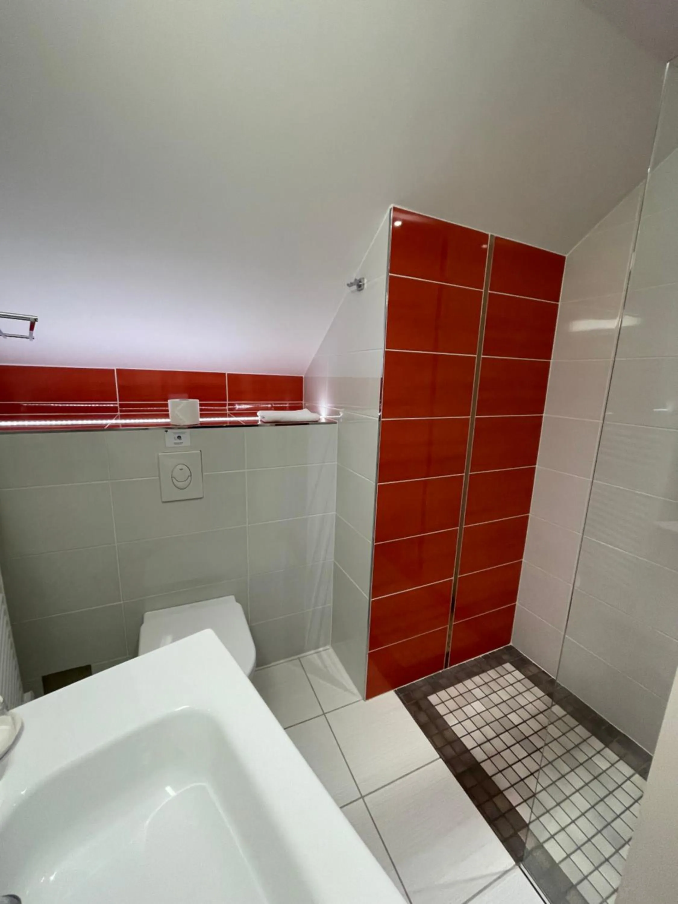 Shower in Le Pavillon d'Enghien, Vichy Centre