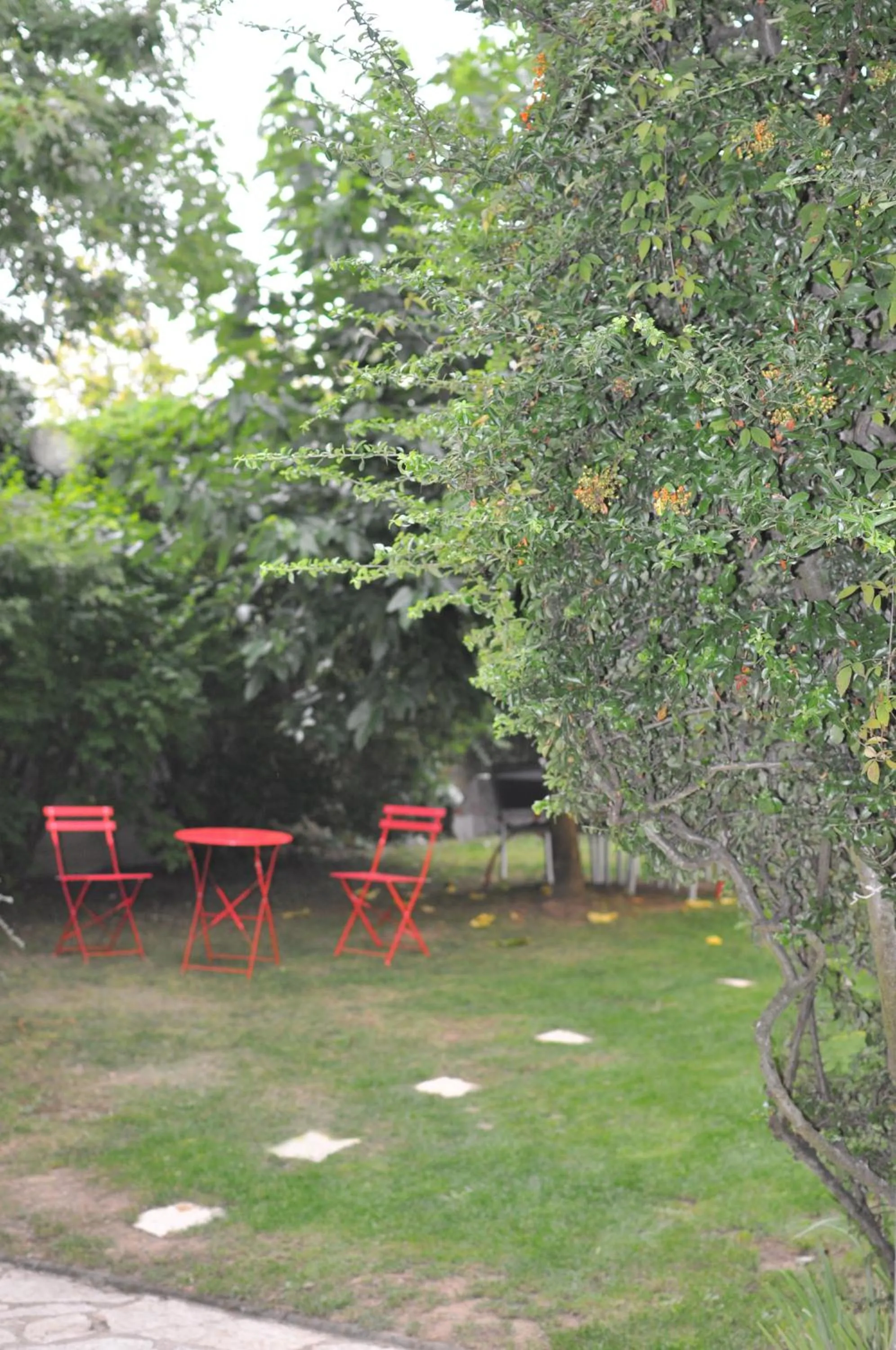 Garden in Gîte:"sur le chemin"